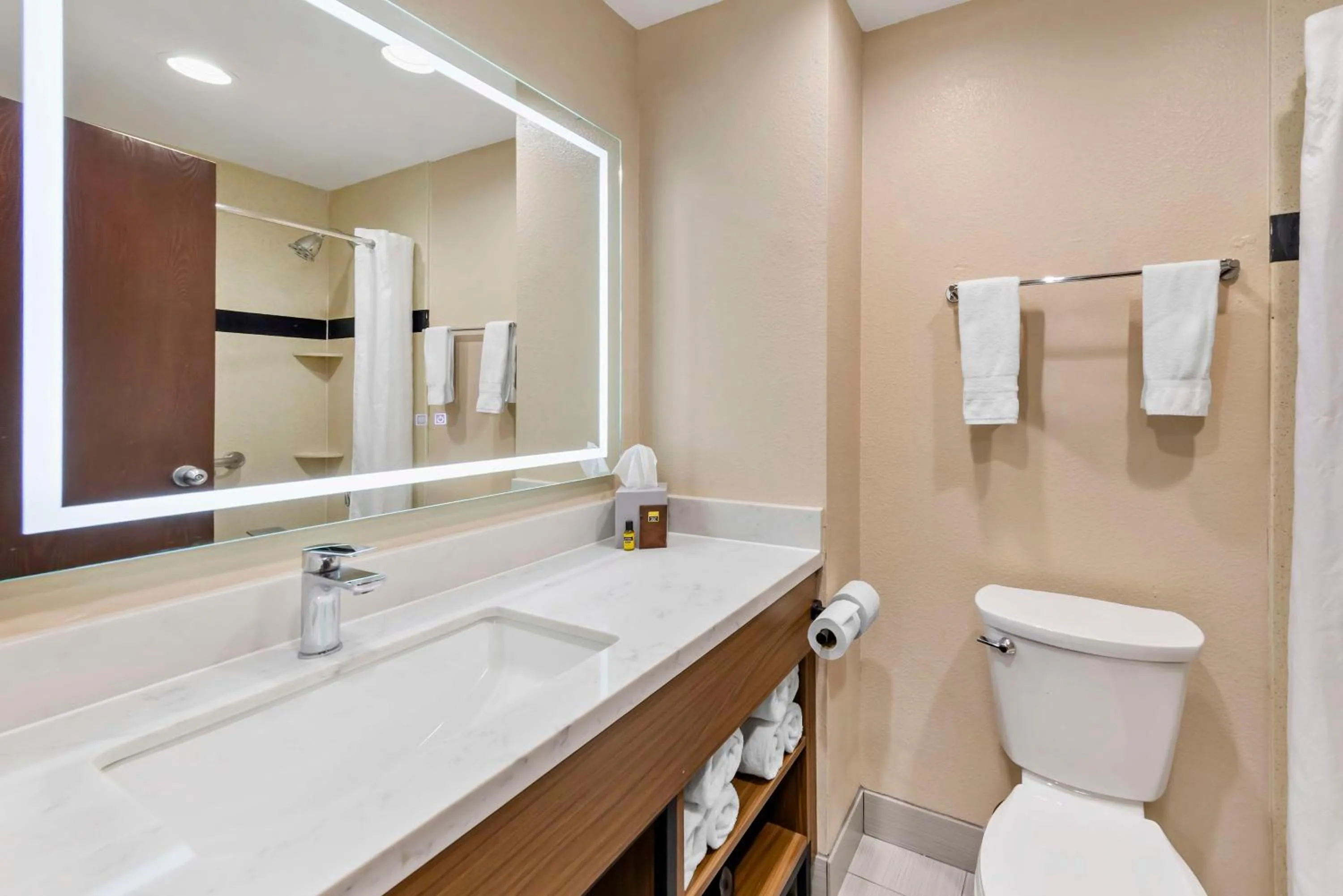 Bathroom in Best Western Plus Heritage Inn Ontario Rancho Cucamonga