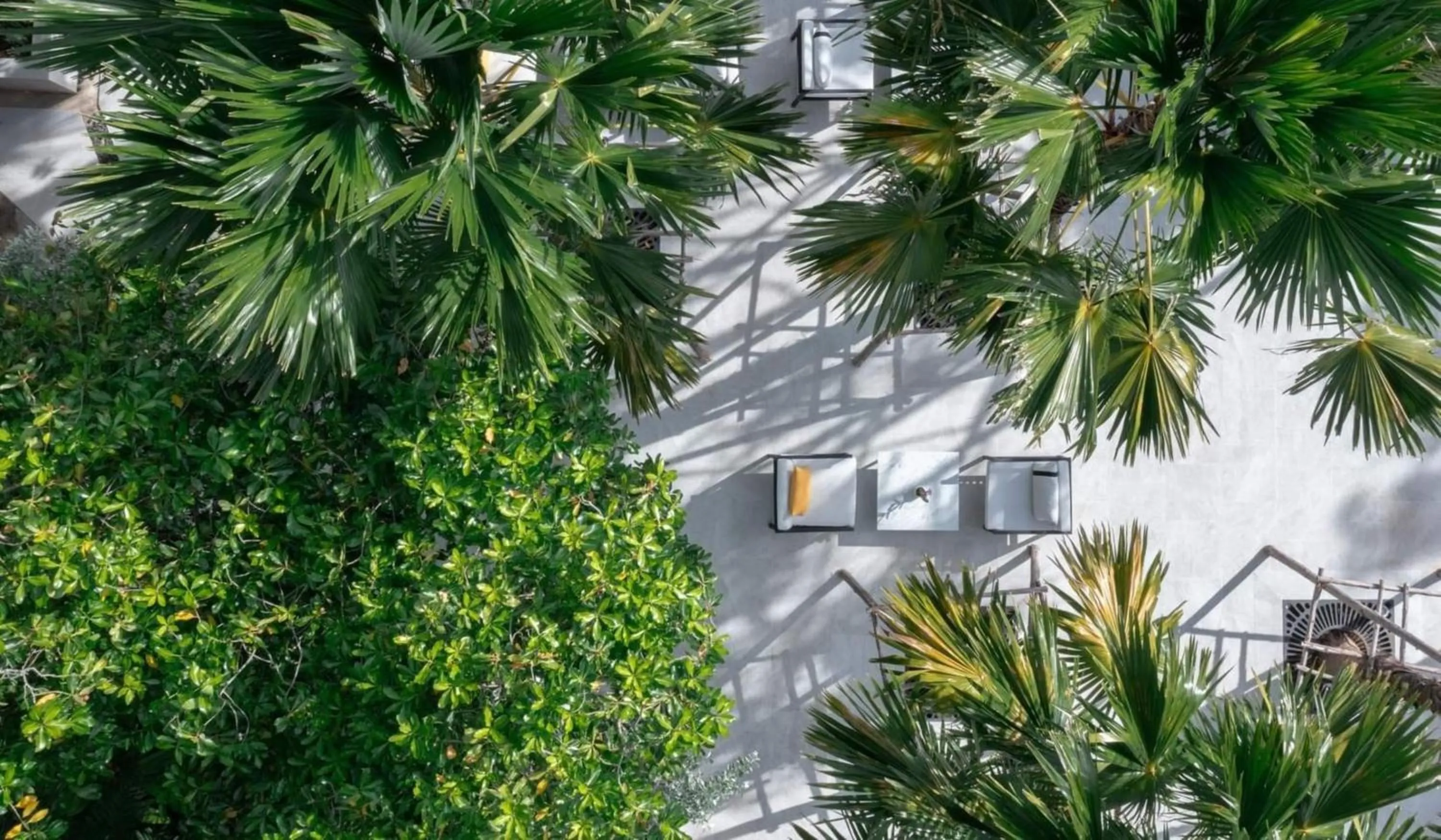 Garden in The Royal Paradise Hotel & Spa