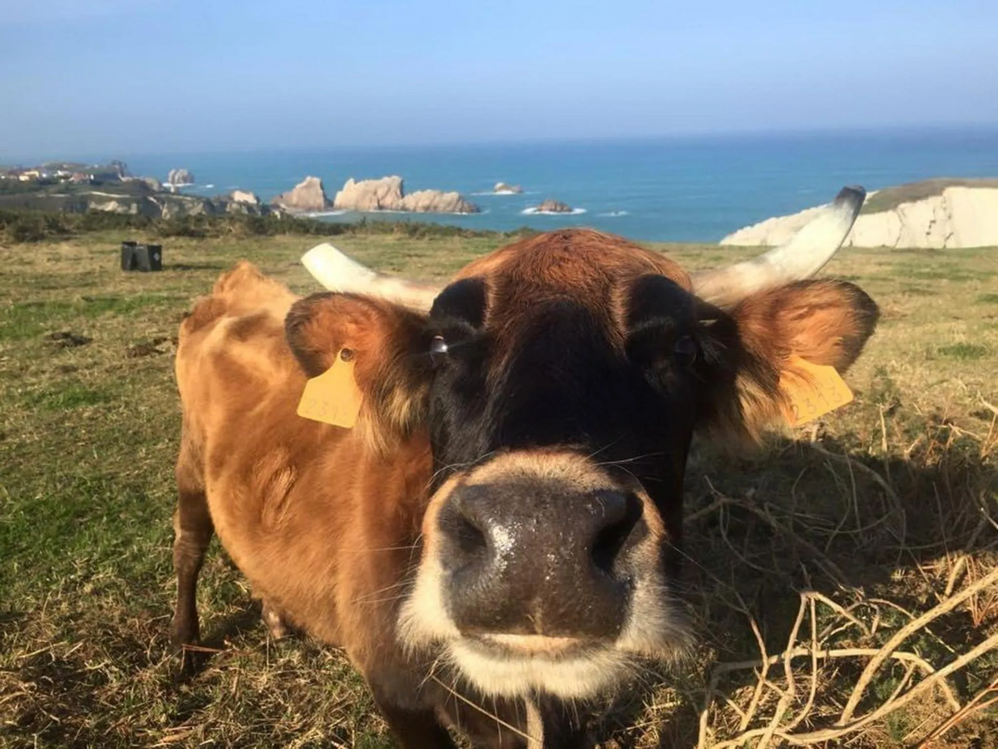 Natural landscape in Posada La Morena