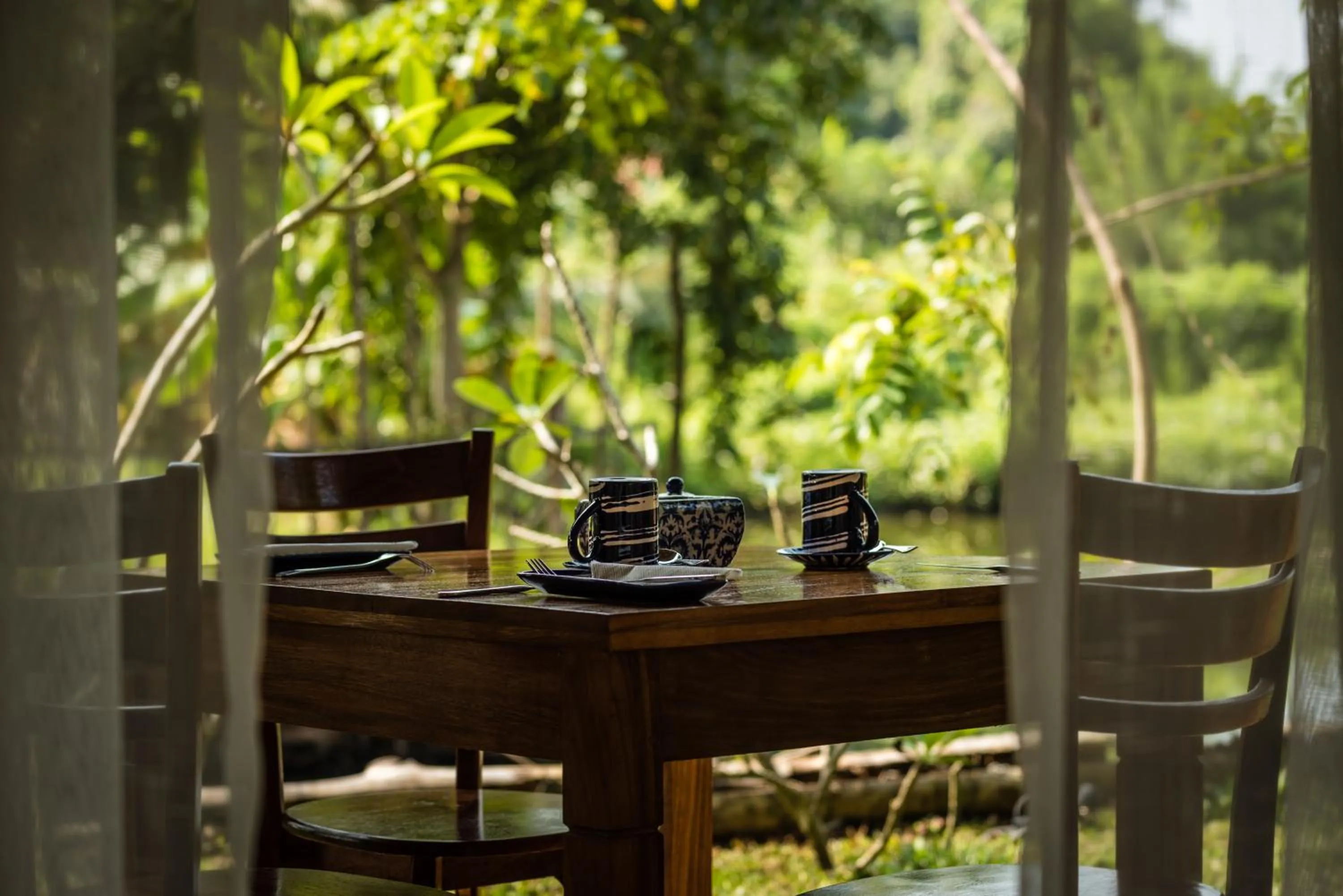 Patio in D Canal House