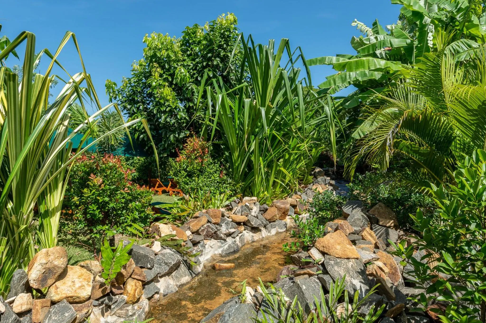 Garden in D Canal House