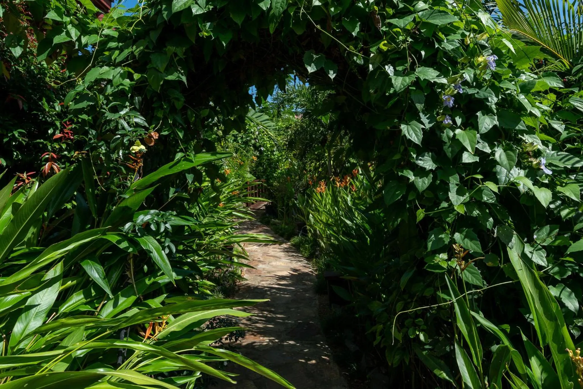 Day in D Canal House