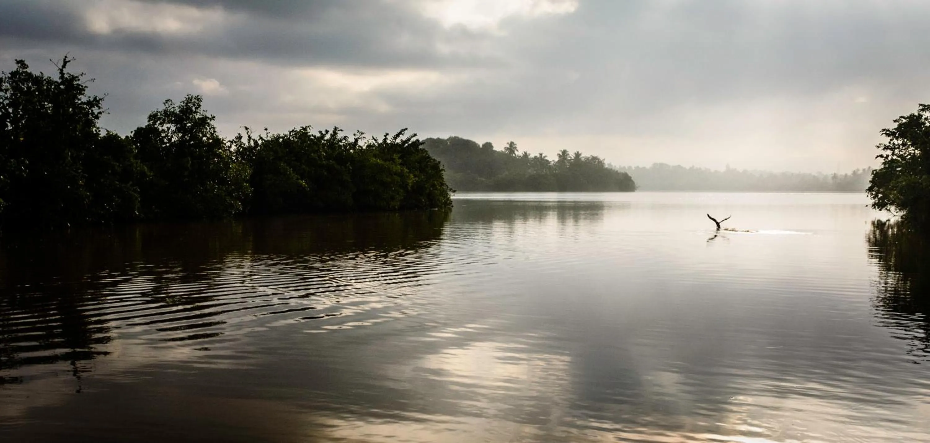 Nearby landmark in D Canal House