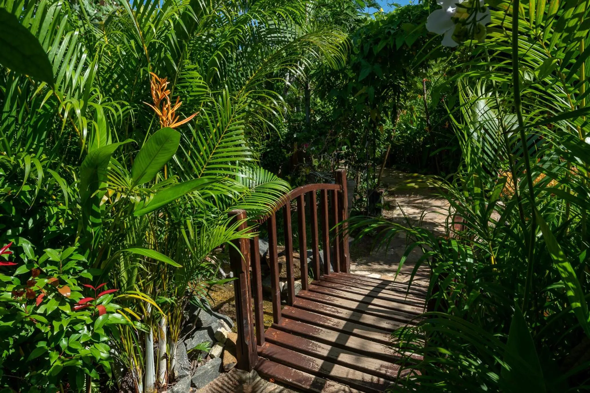 Day in D Canal House