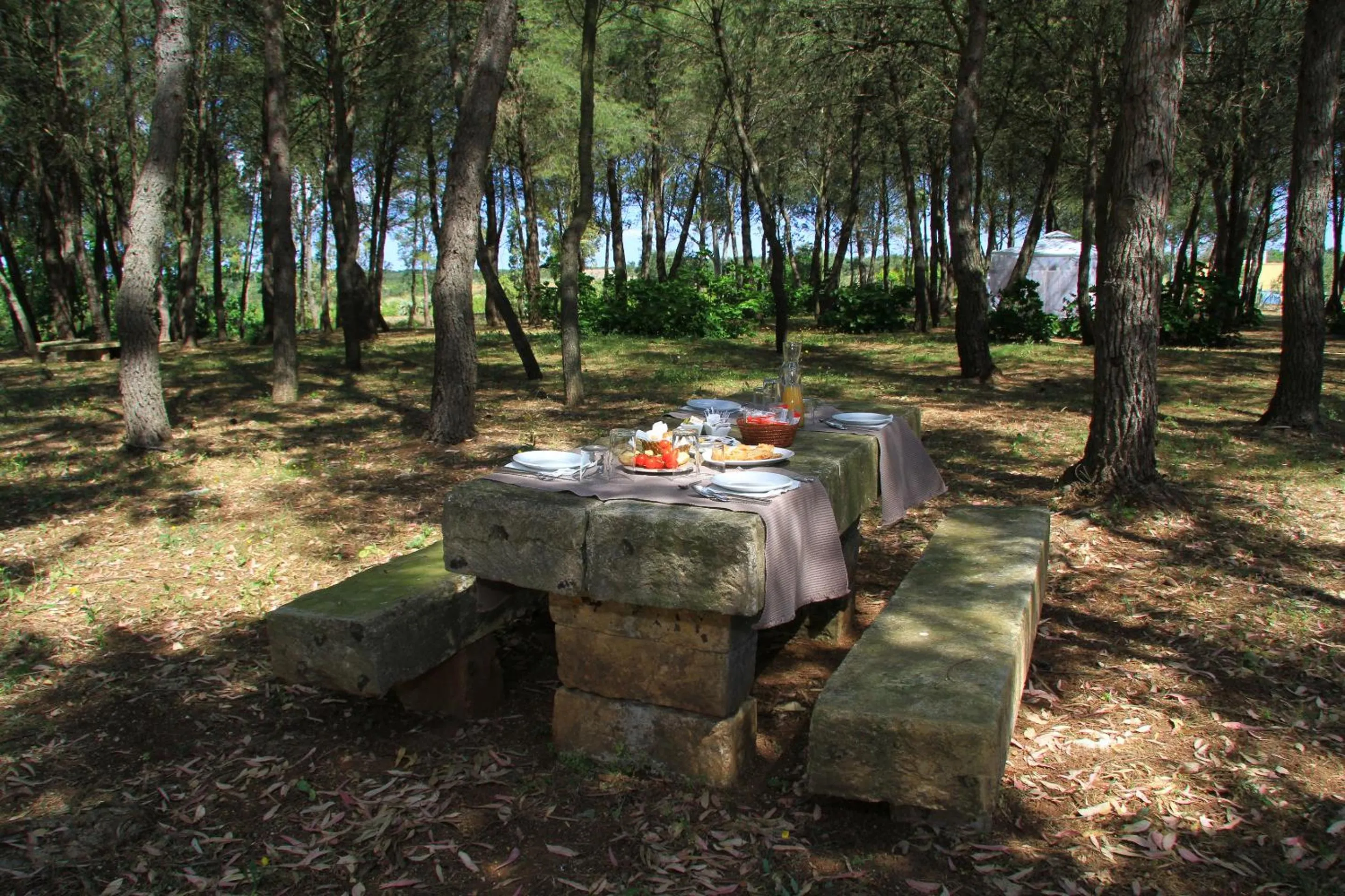 Restaurant/places to eat in Masseria Cristo