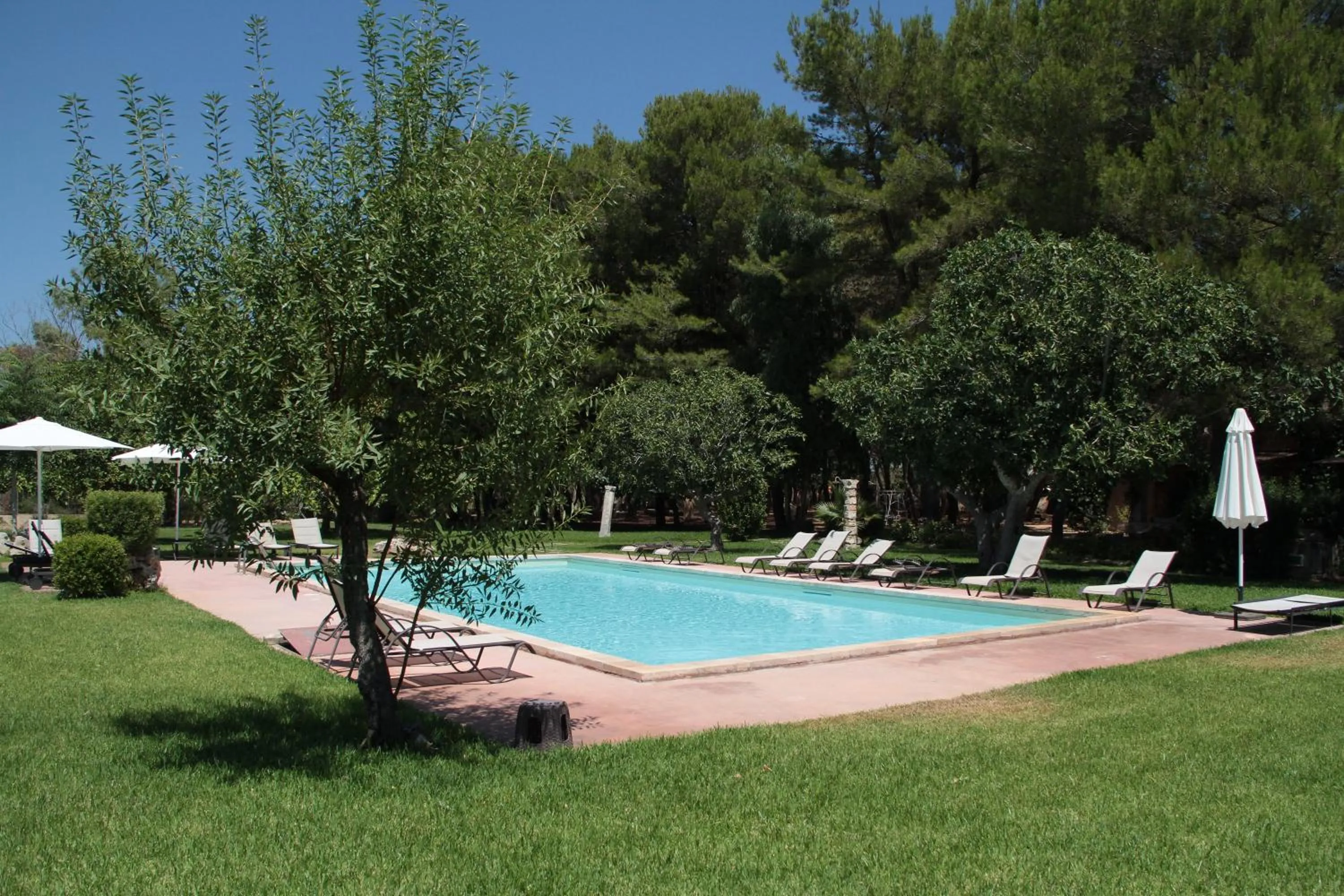 Swimming pool in Masseria Cristo