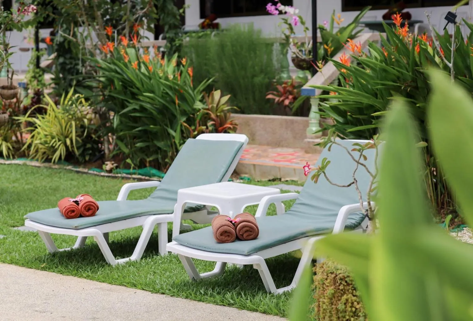 Garden in The Golddiggers Resort