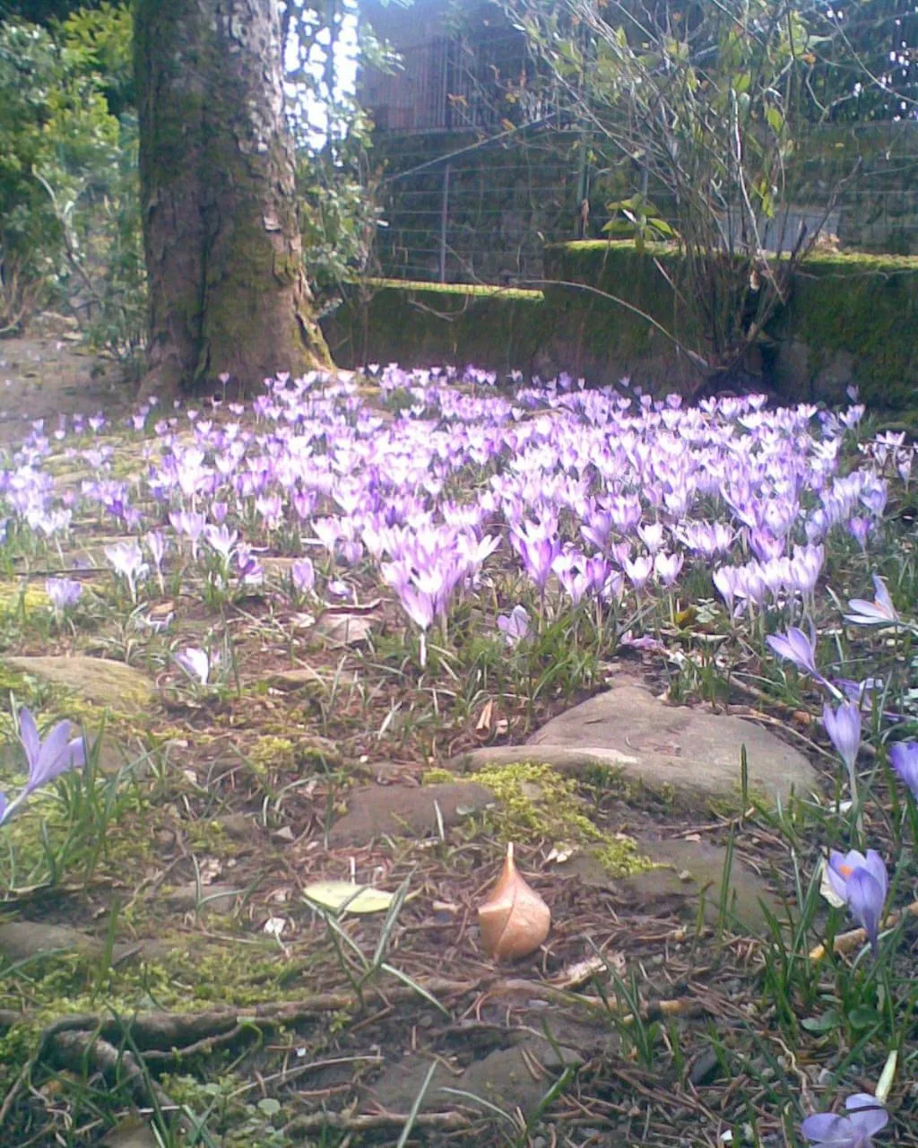 Spring in Albergo Ristorante Guidi