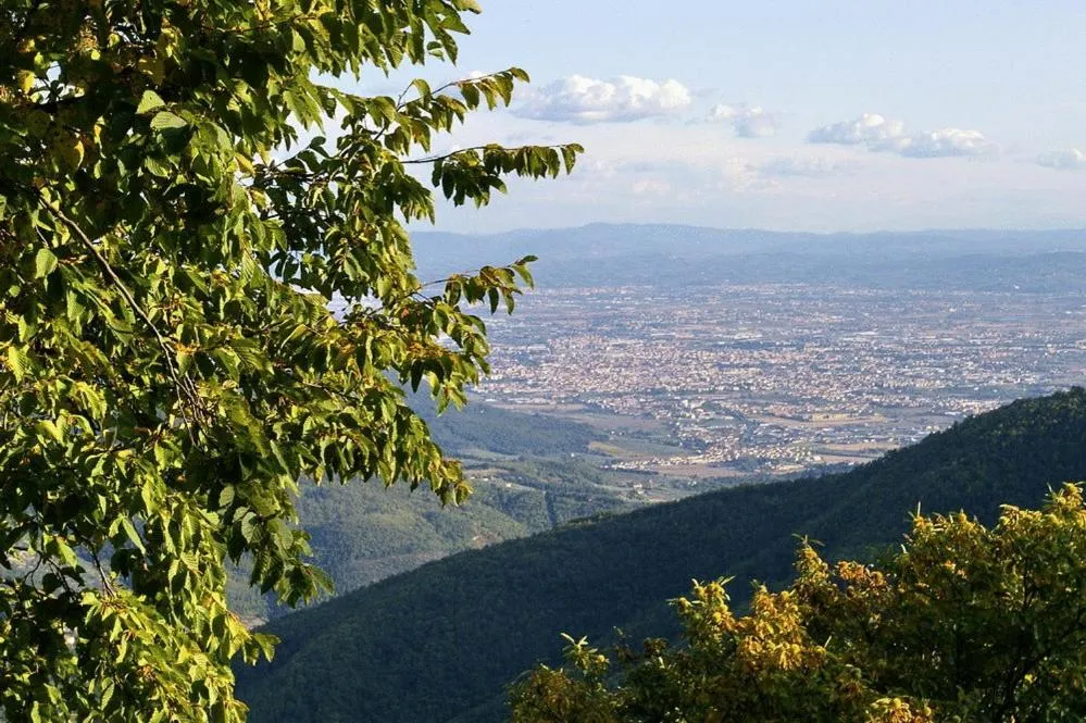 Area and facilities in Albergo Ristorante Guidi