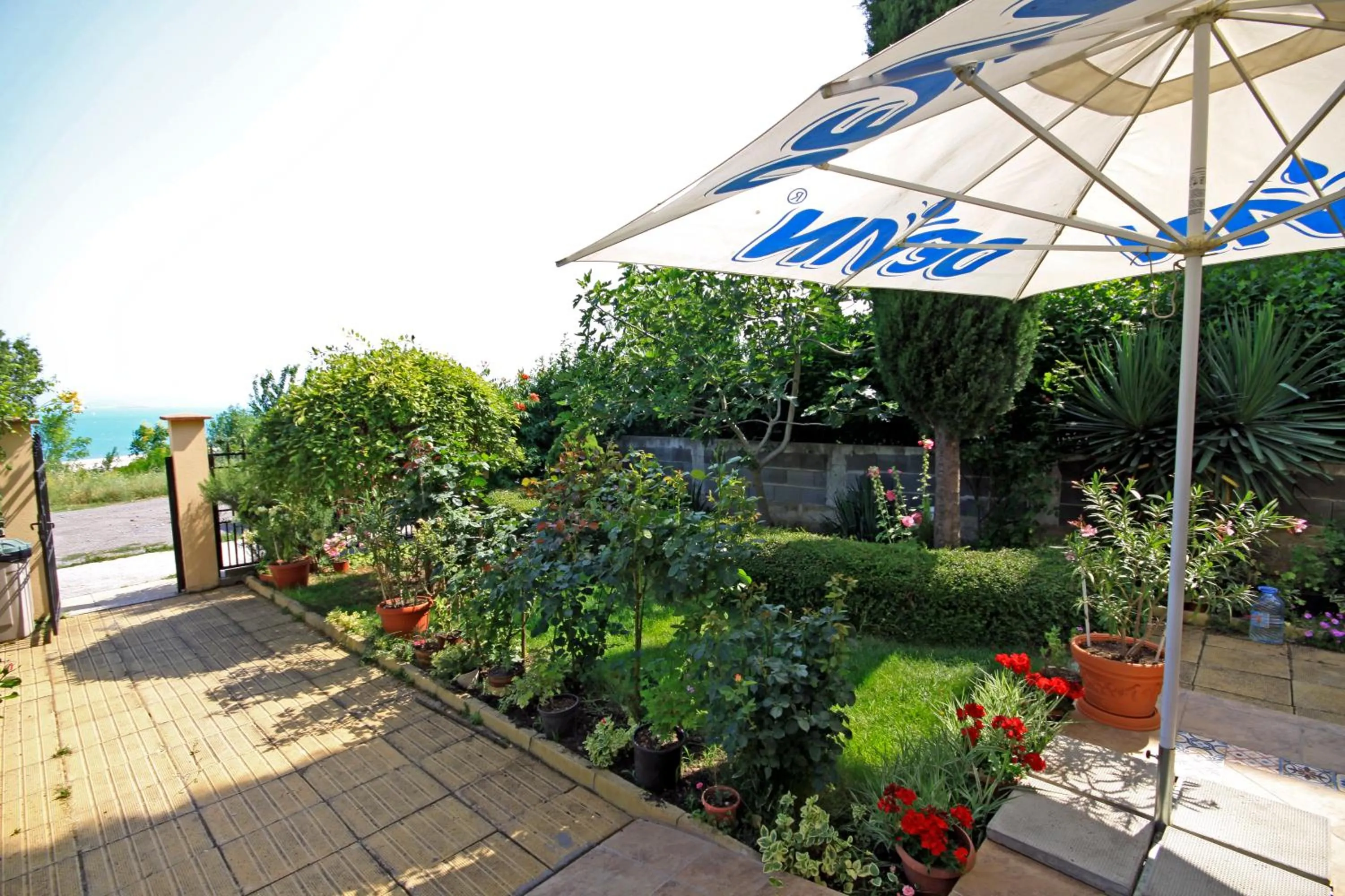 Garden view in Hotel Briz