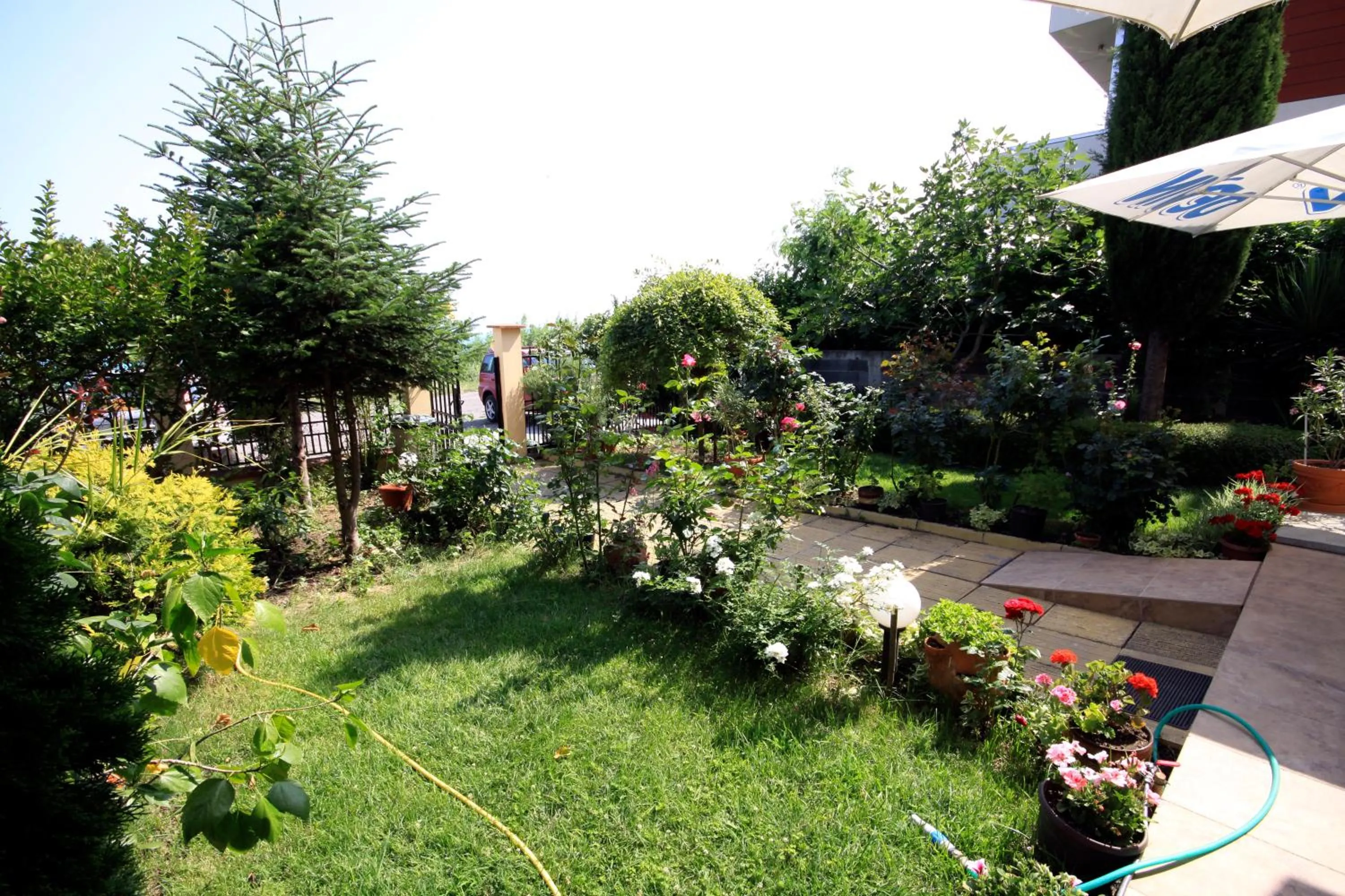 Garden in Hotel Briz