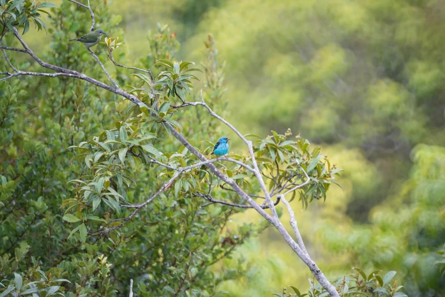 Day in Pousada Mangabeiras
