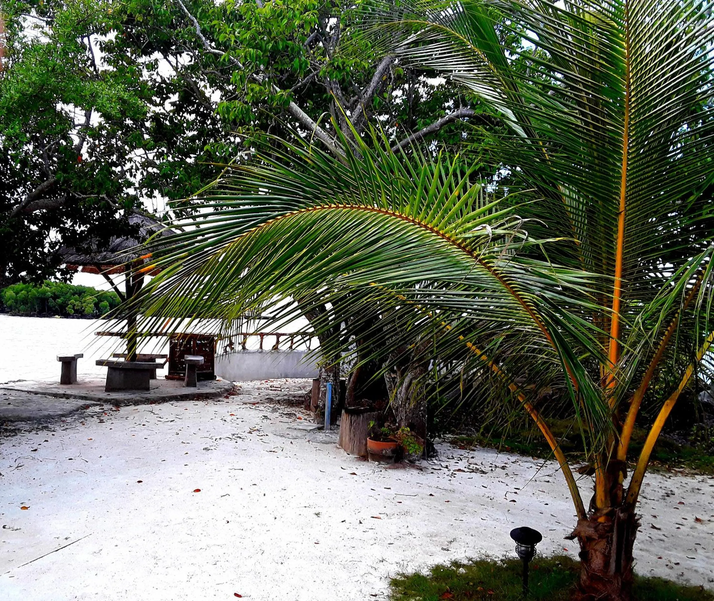 Beach in Adayo Cove Resort