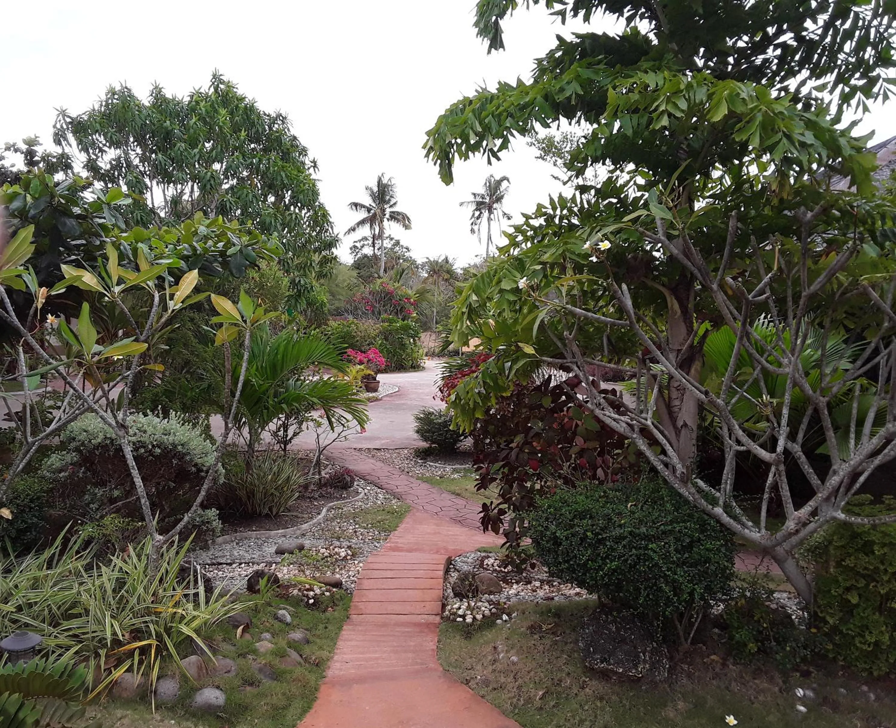 Natural landscape in Adayo Cove Resort