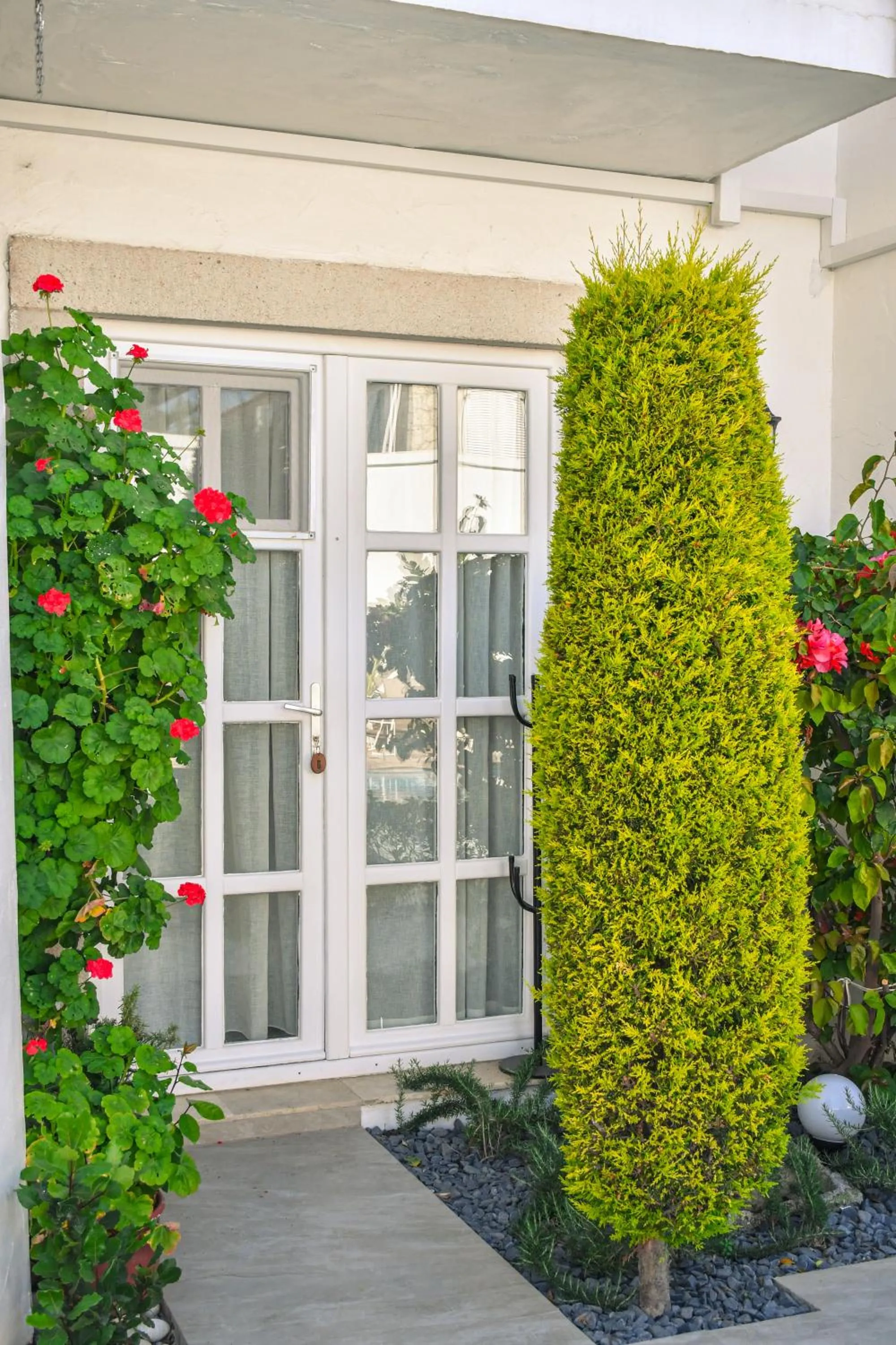 Property building in Bay C