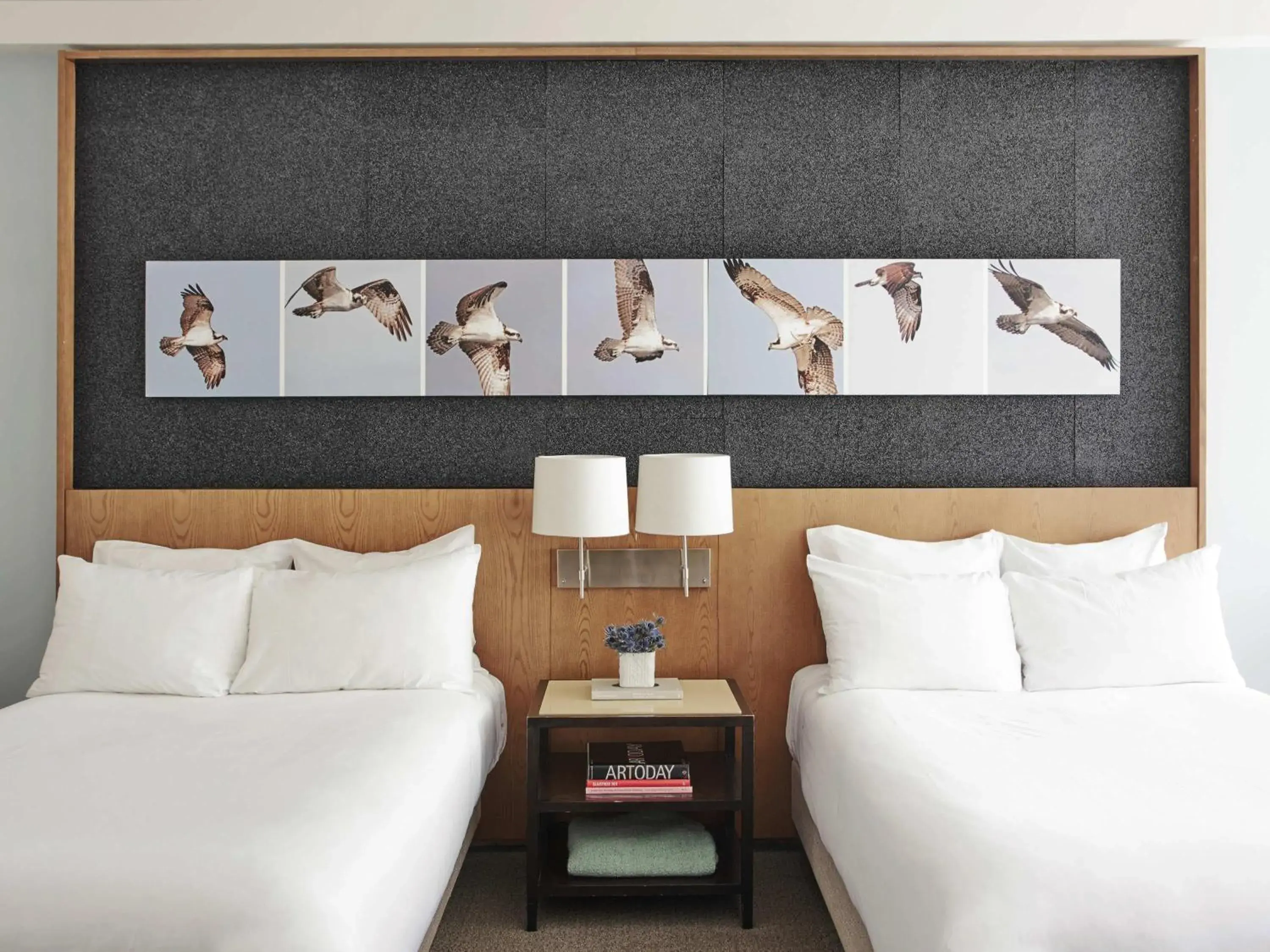 Deluxe Double Room in 21c Museum Hotel Louisville Deluxe Double Room in 21c Museum Hotel Louisville