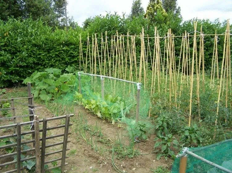 Day in Ortali Country House