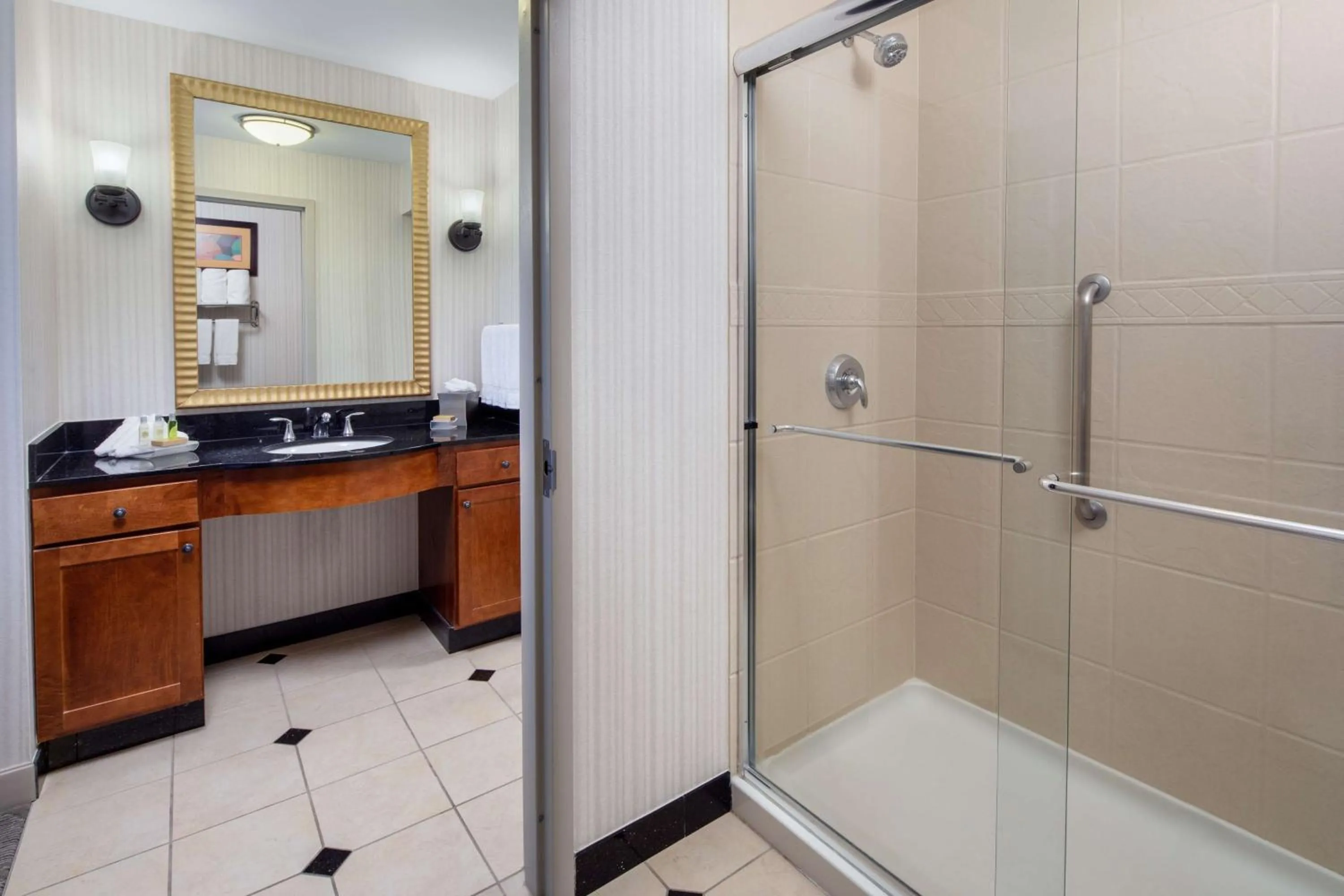 Bathroom in Homewood Suites by Hilton Rockville- Gaithersburg