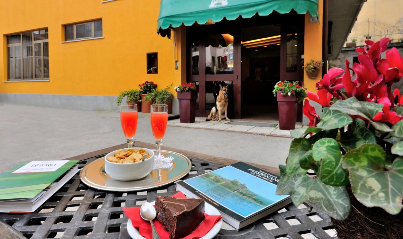 Balcony/Terrace in Hotel Trasimeno