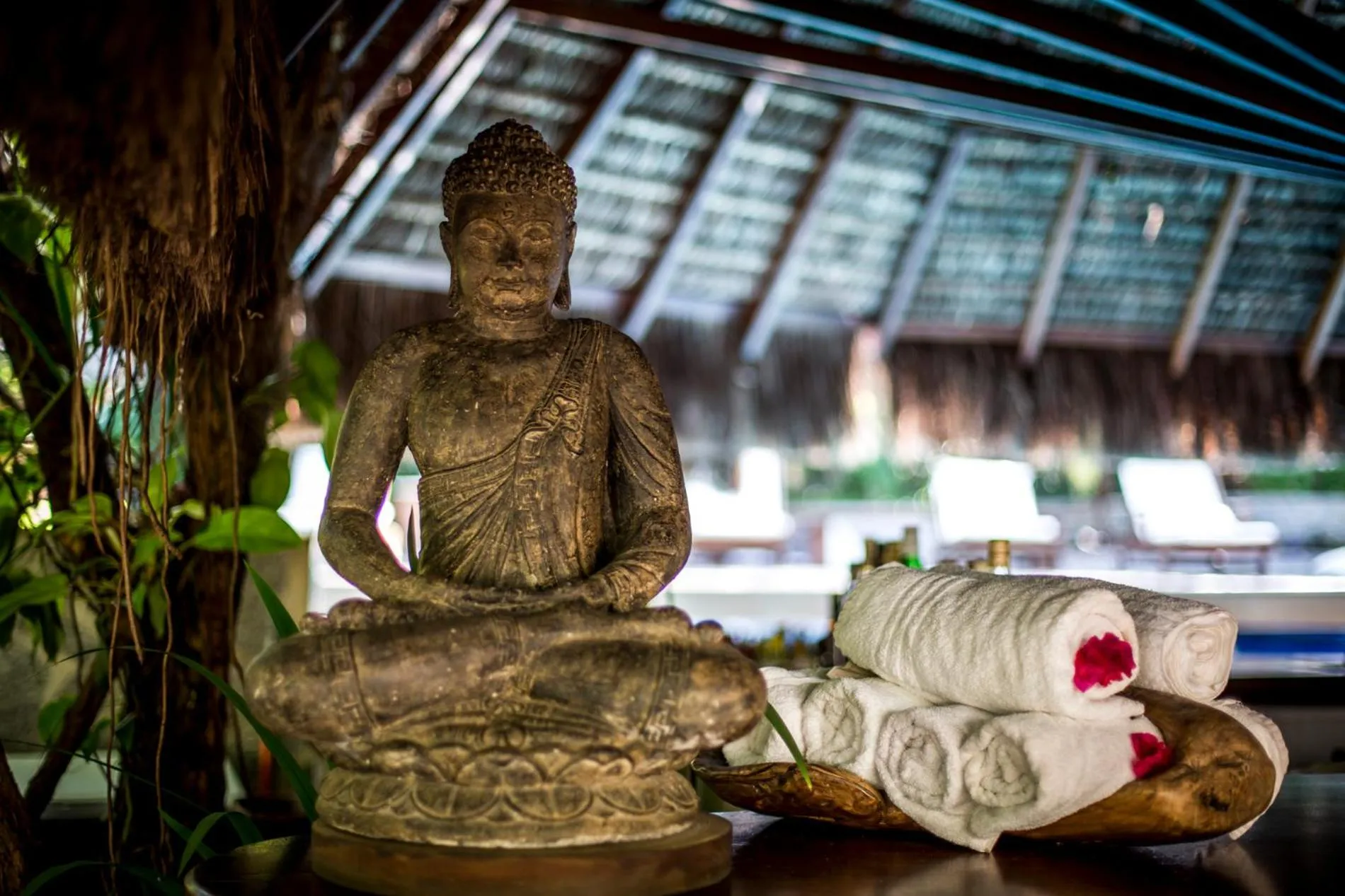 Sombra e Água Fresca Floresta