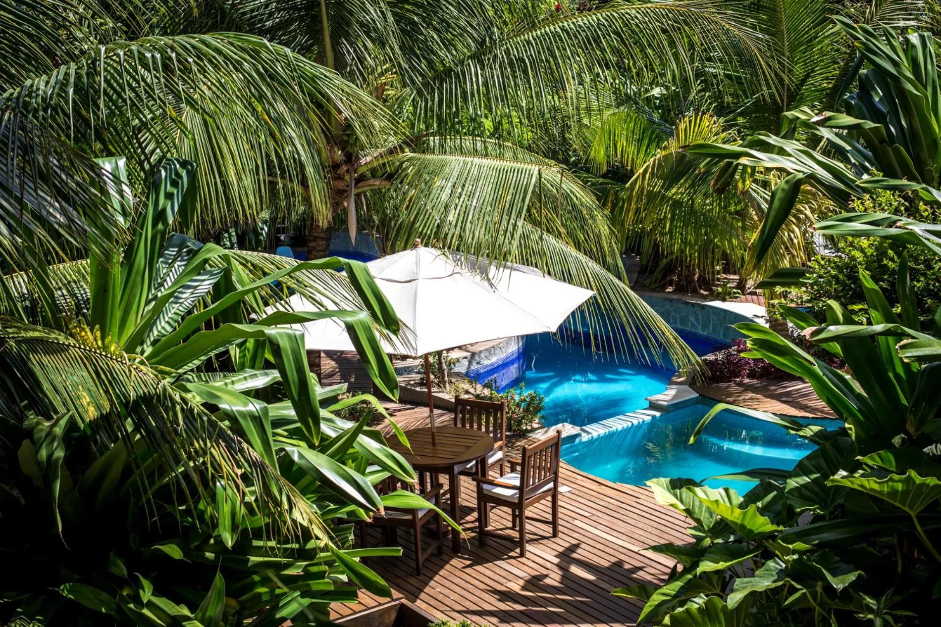 Sombra e Água Fresca Floresta