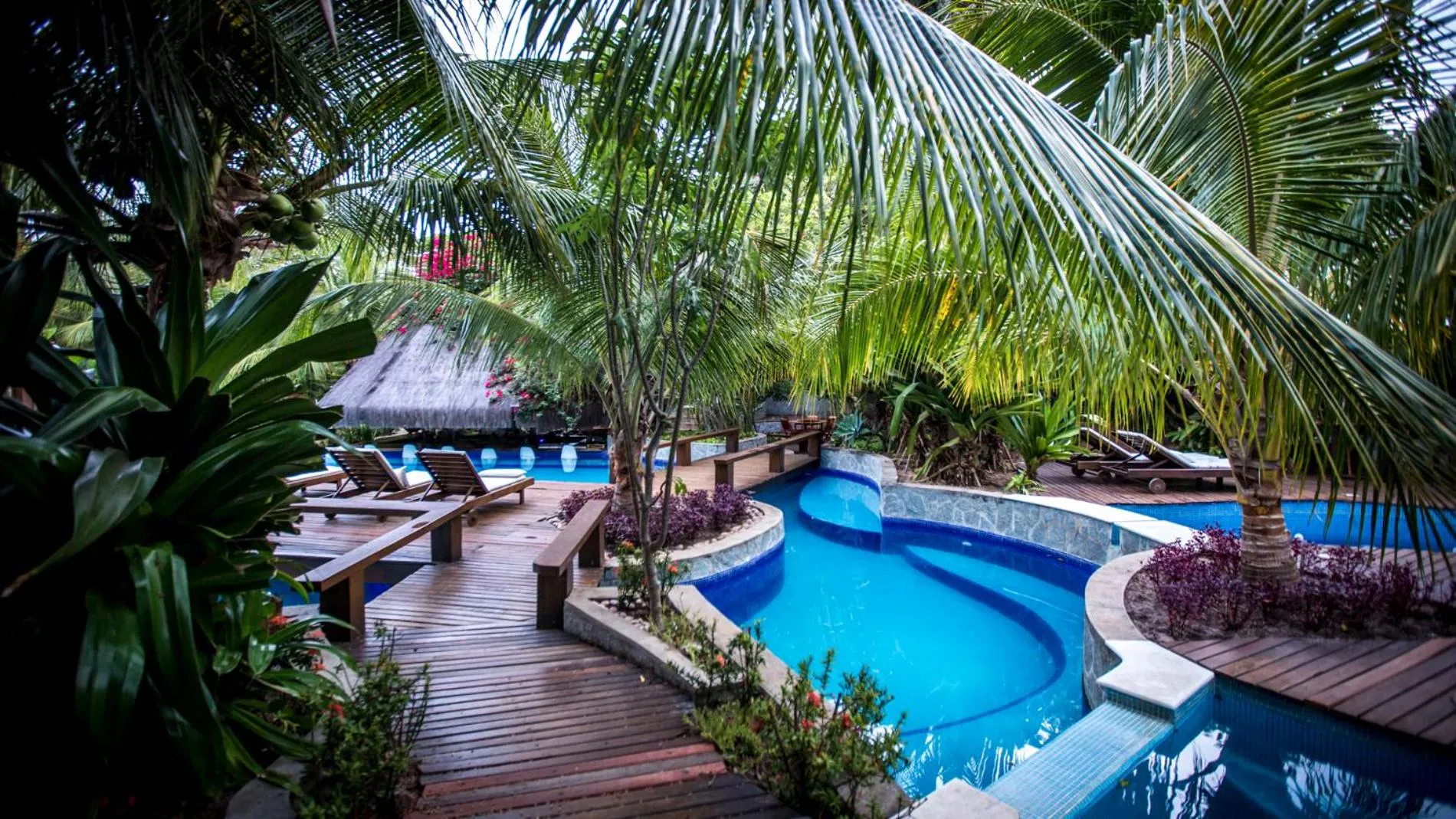 Pool view in Sombra e Água Fresca Floresta