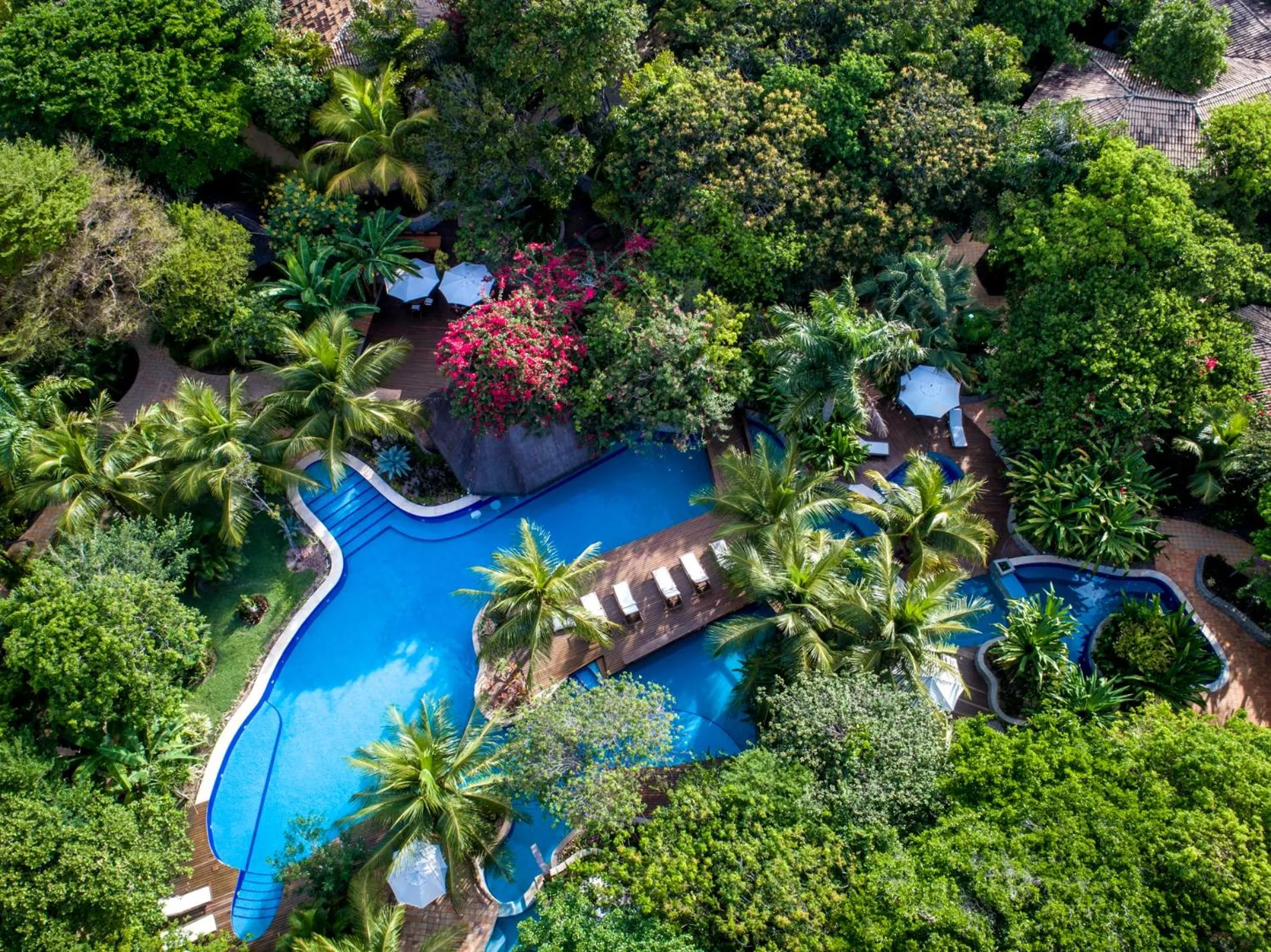 Sombra e Água Fresca Floresta