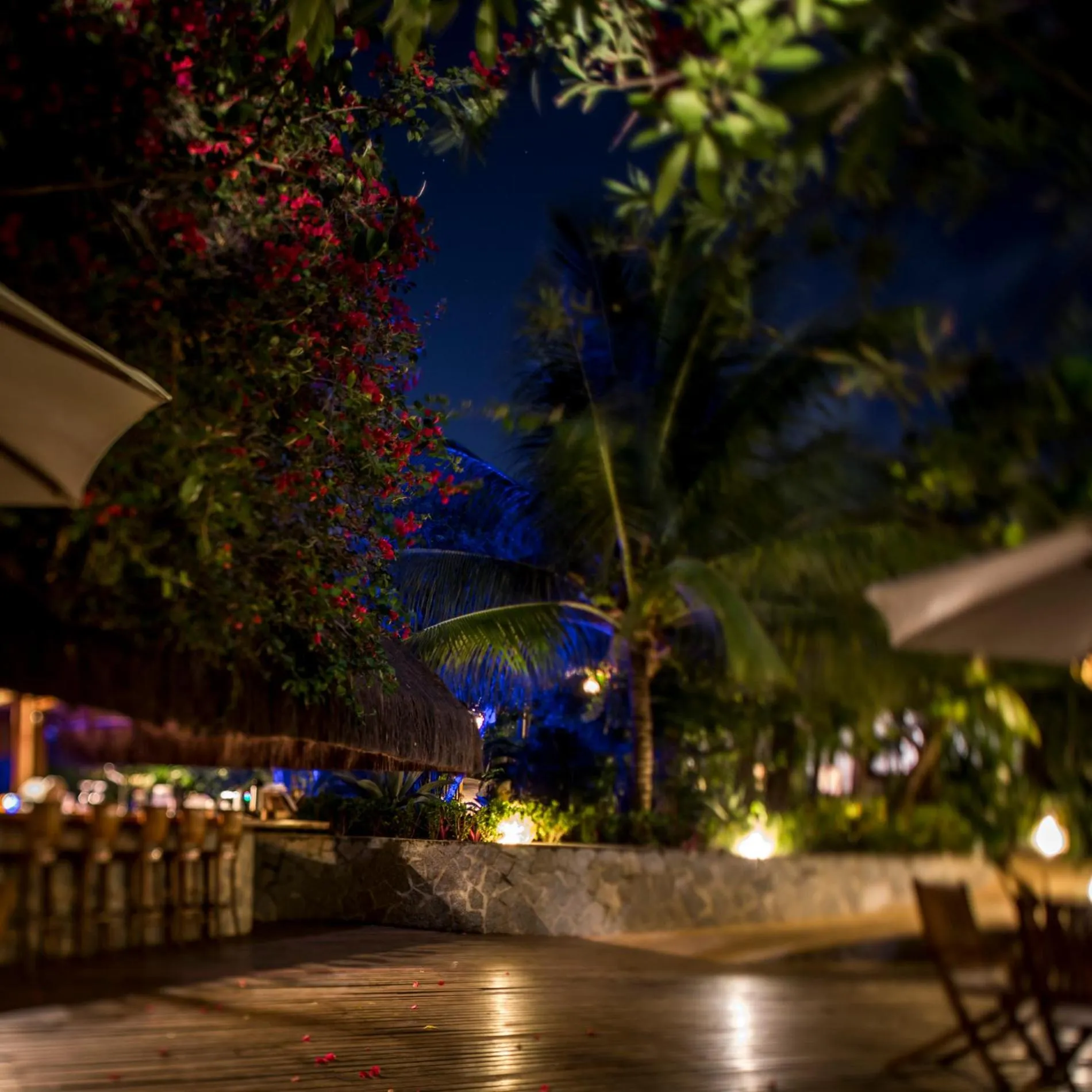 Sombra e Água Fresca Floresta