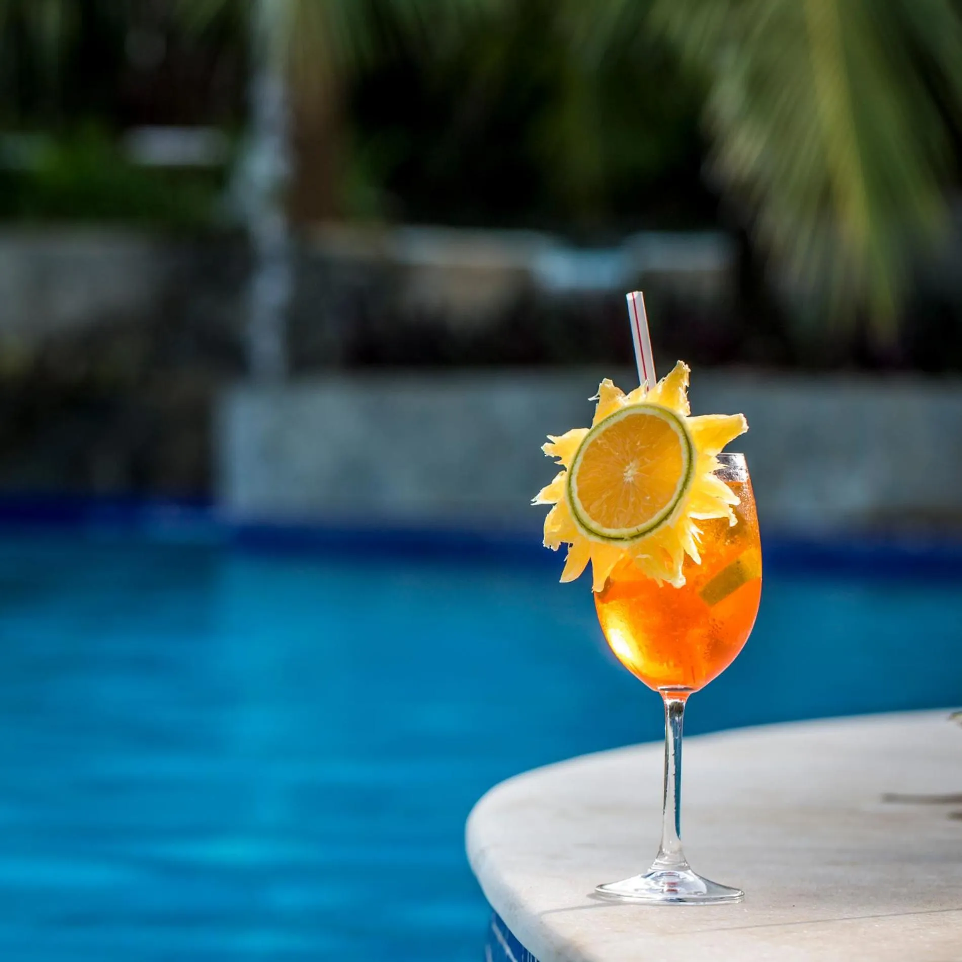 Sombra e Água Fresca Floresta