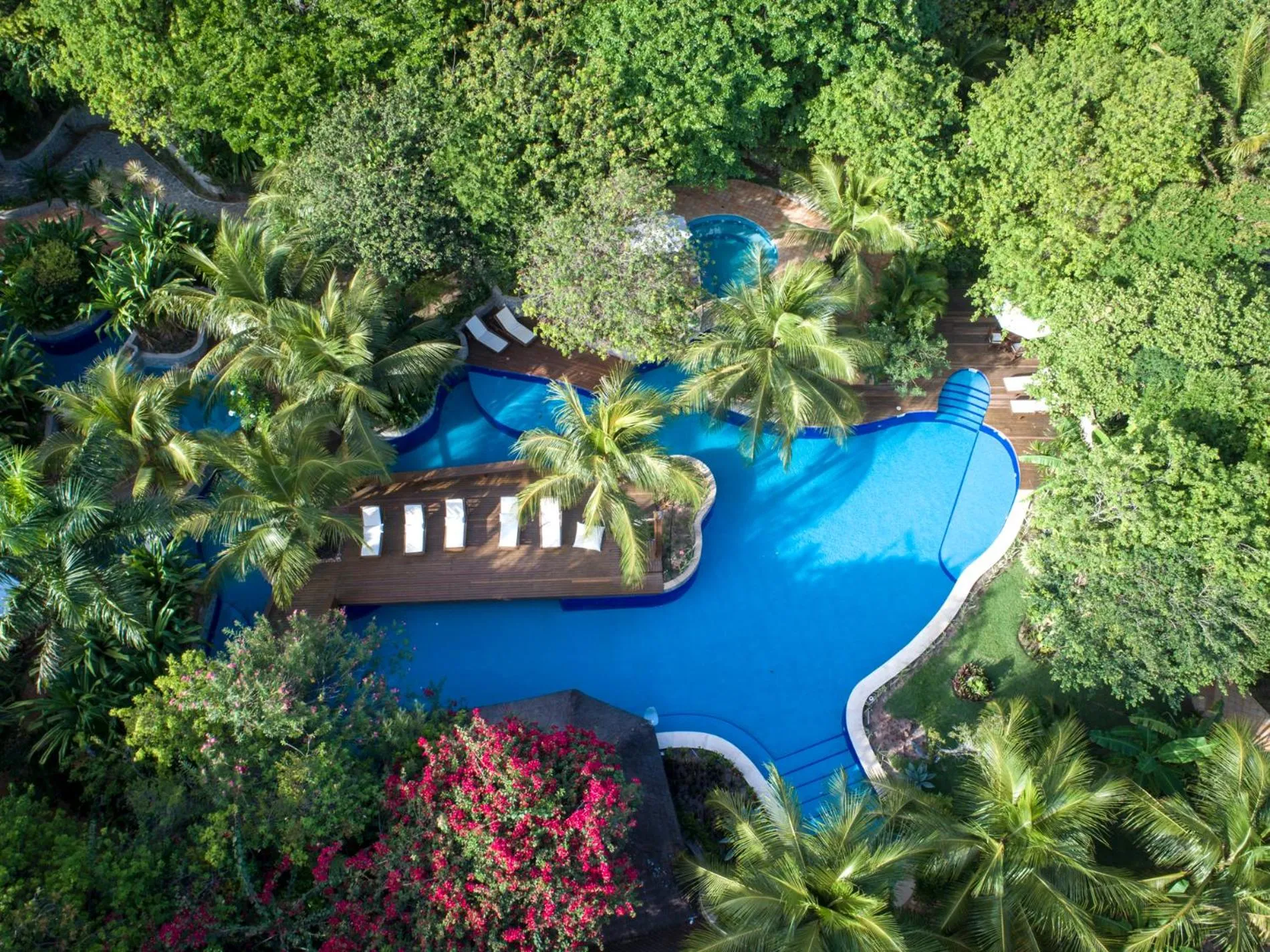 Sombra e Água Fresca Floresta