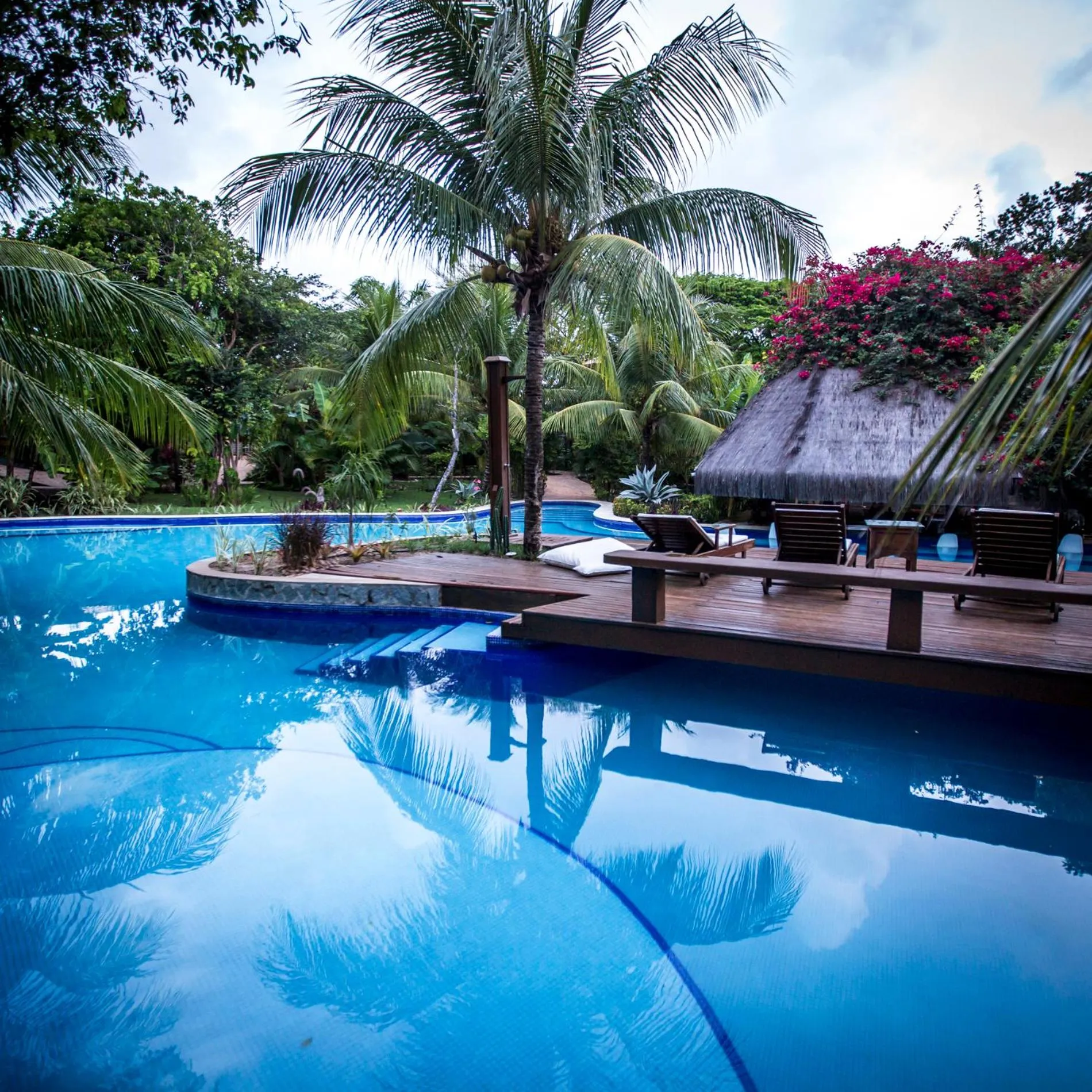 Sombra e Água Fresca Floresta