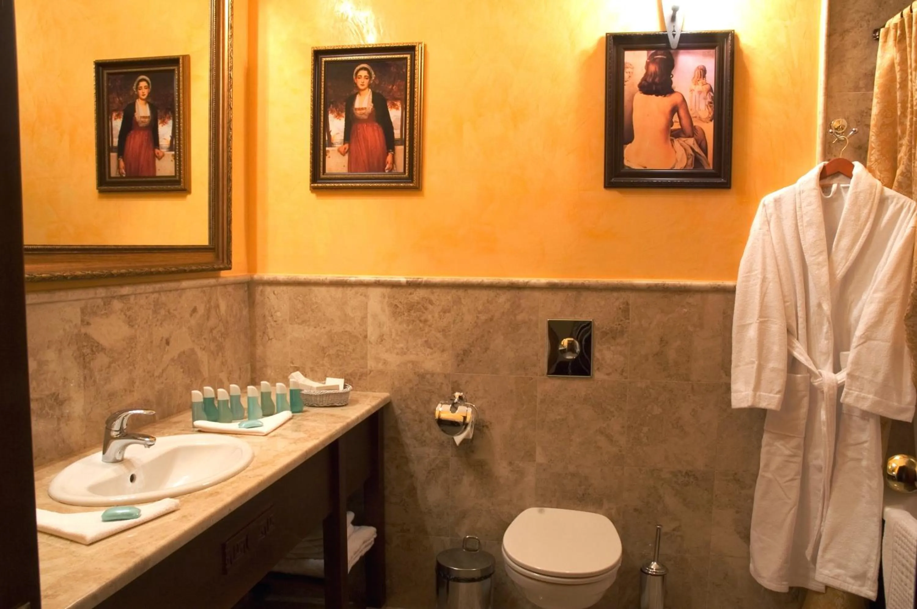 Toilet in Optima Collection Dnipro