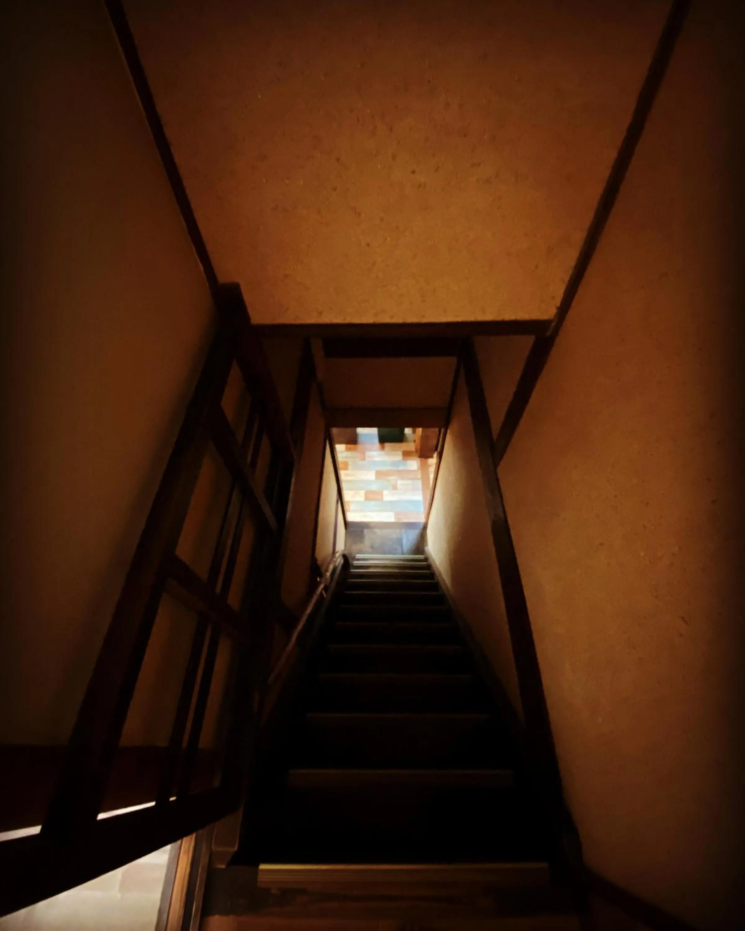 Area and facilities in Hostel Otro Mundo