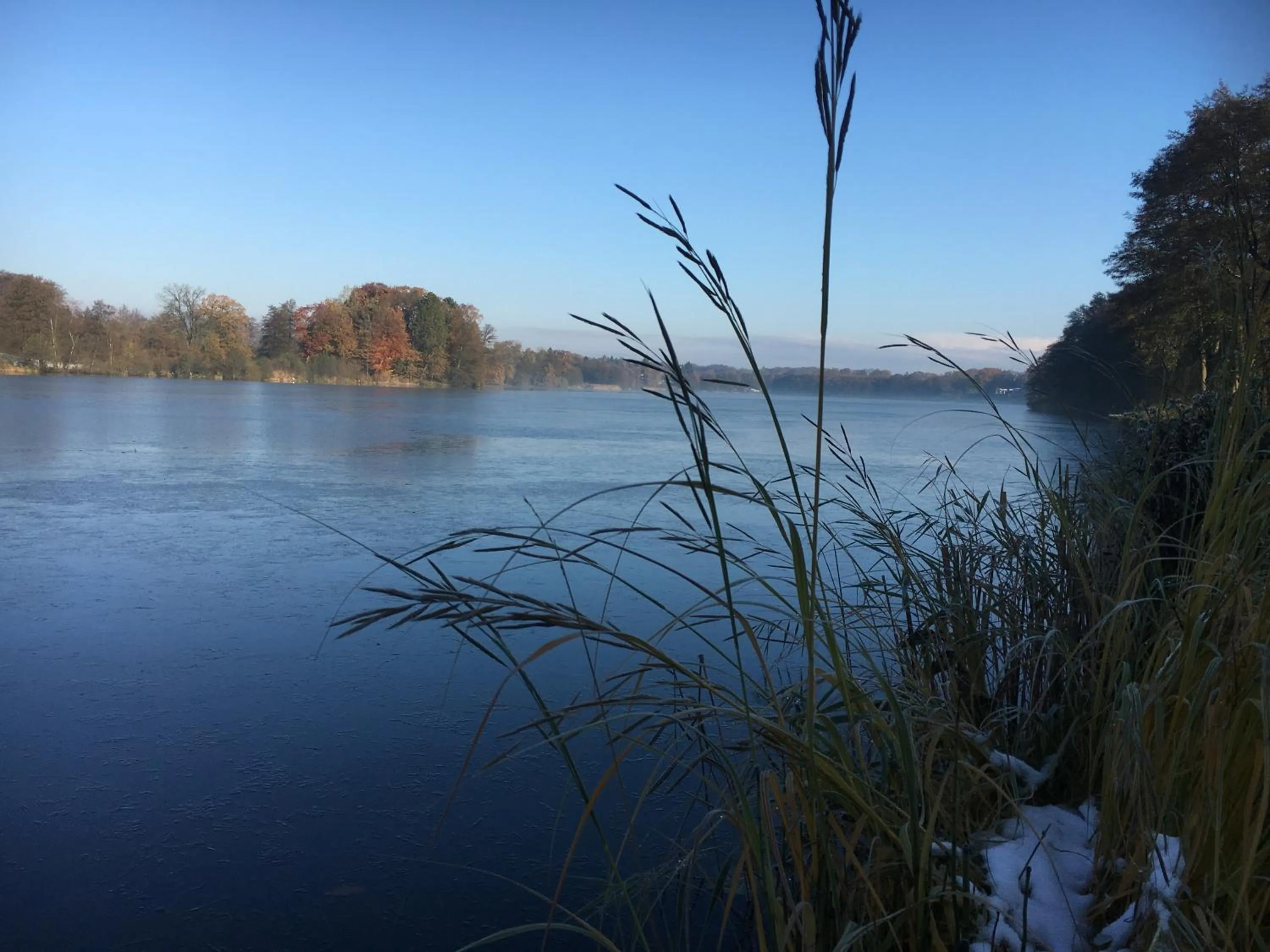 Natural landscape in Fischerklause am Lutjensee