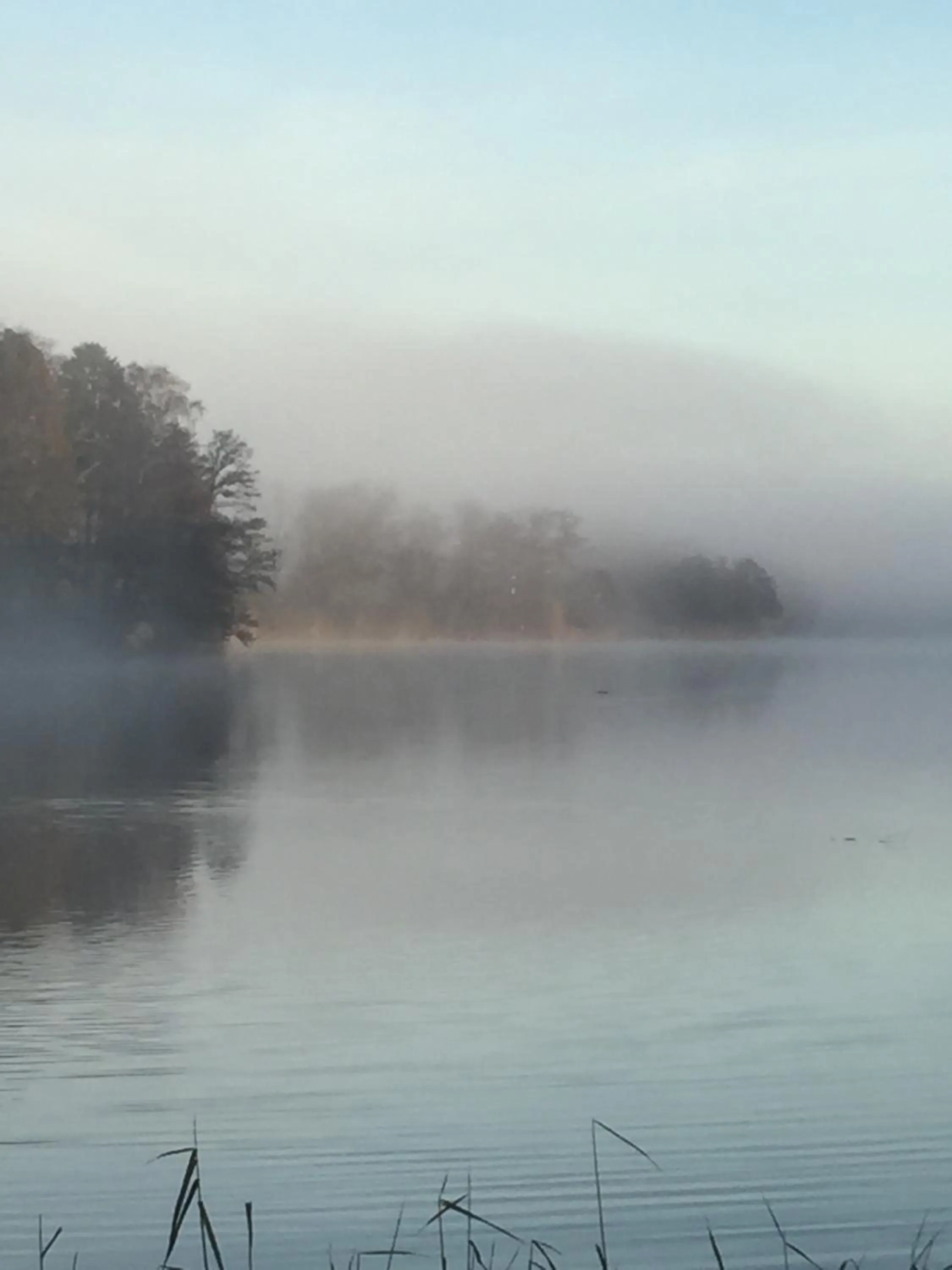 Natural landscape in Fischerklause am Lutjensee