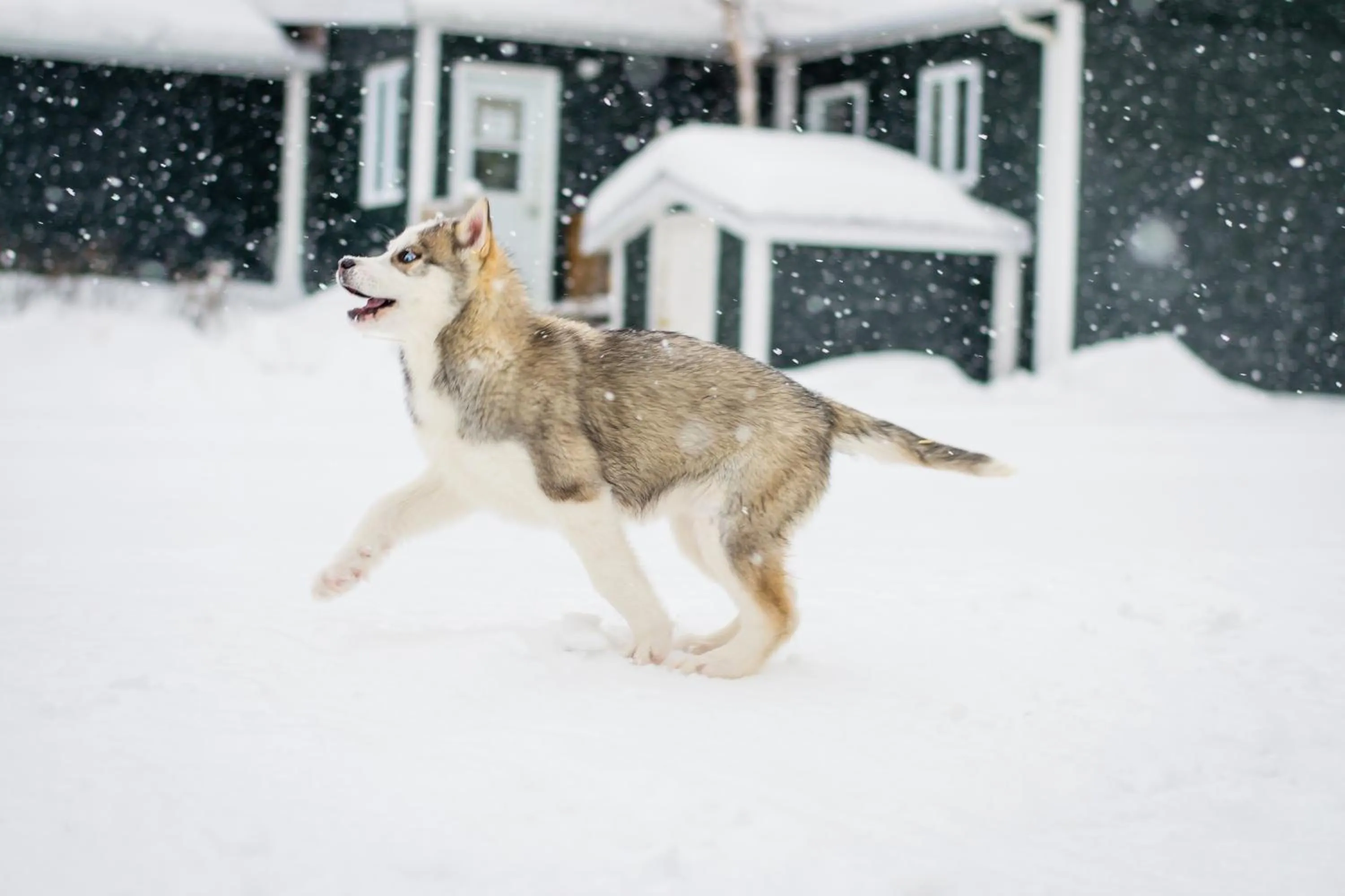 Centre de Vacances 5 Étoiles Family Resort