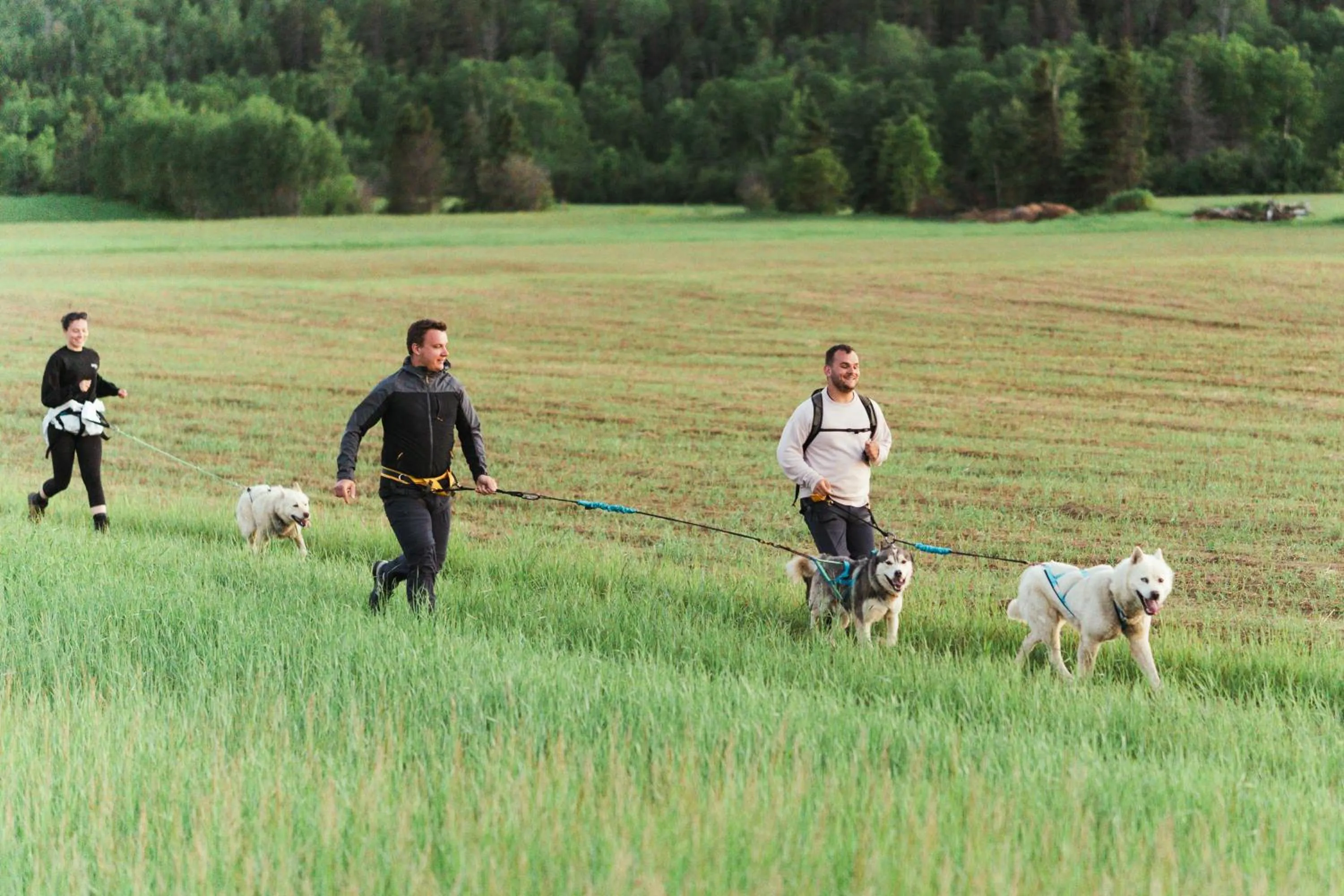 Centre de Vacances 5 Étoiles Family Resort