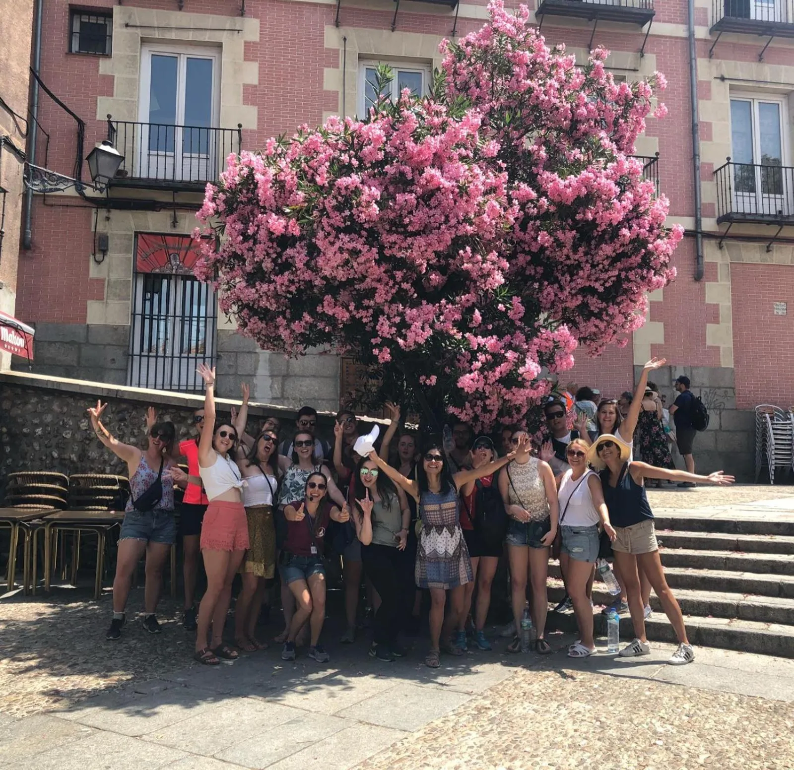 Activities in 2060 The Newton Hostel