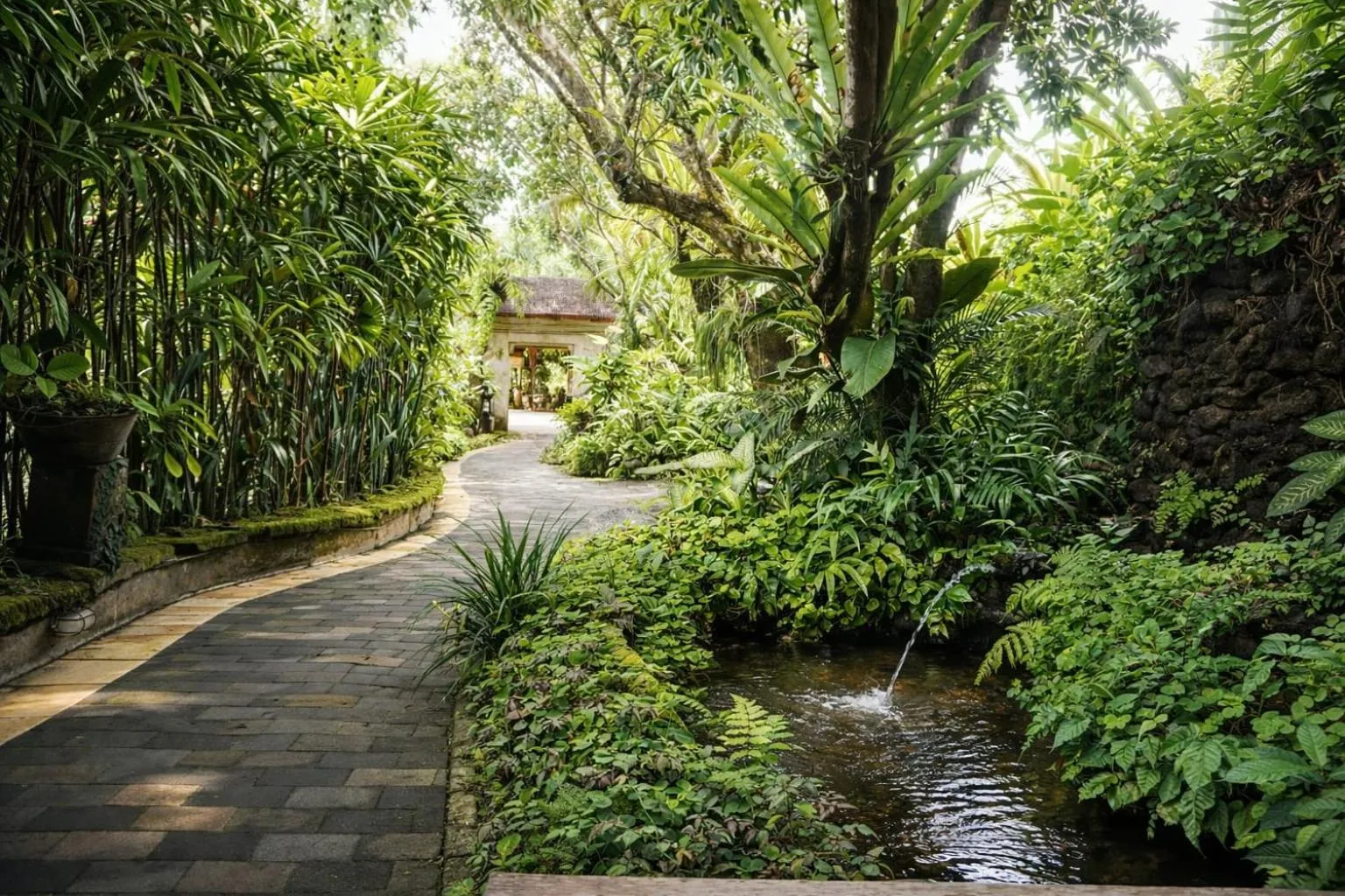 Garden in Yulia Village Inn Ubud