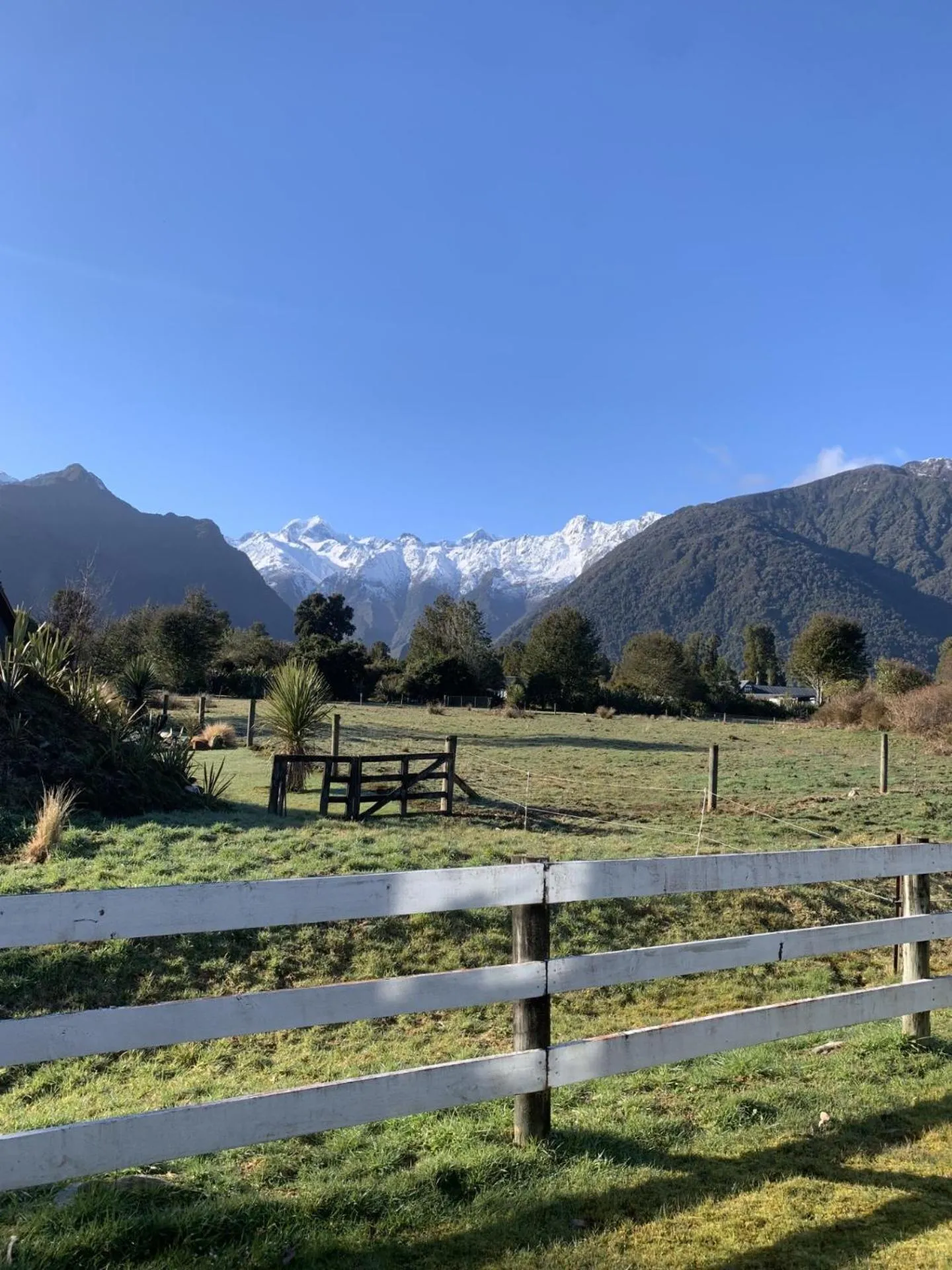Natural landscape in Mt Cook View Motel - Fox Glacier