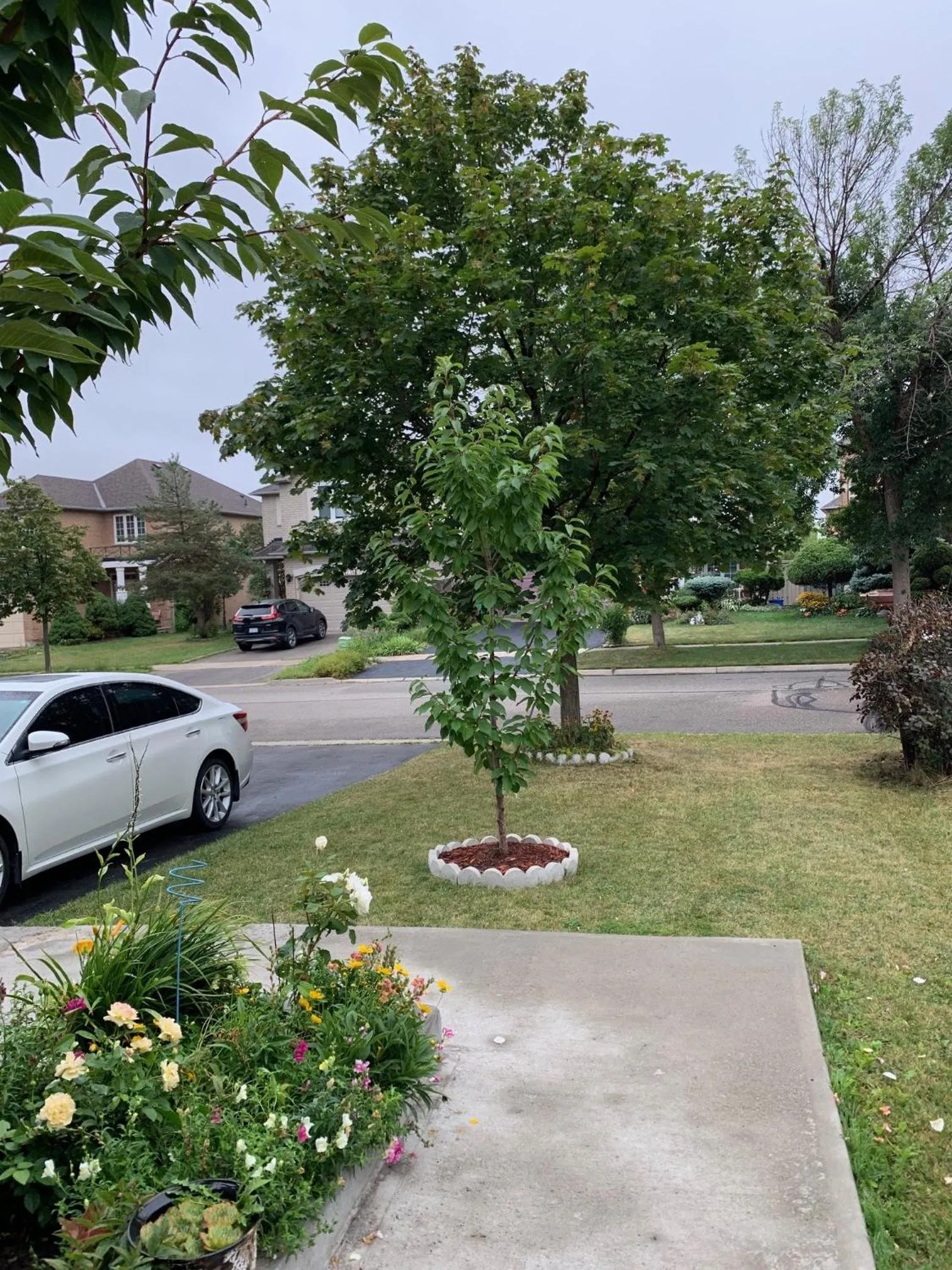 Clean, Beautiful & Modern 2 bedroom apartment