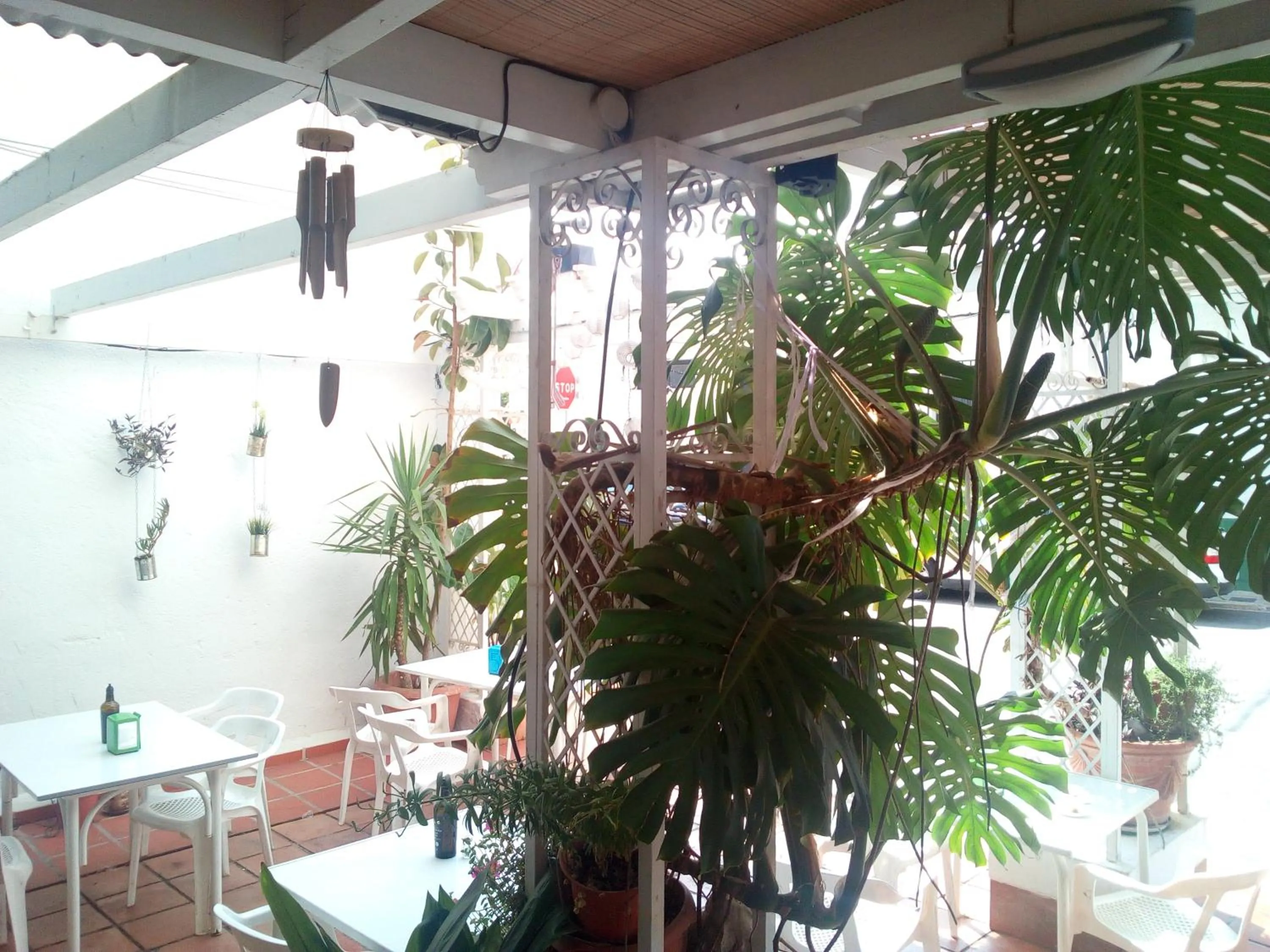 Patio in Hotel Ramis fundado en 1969