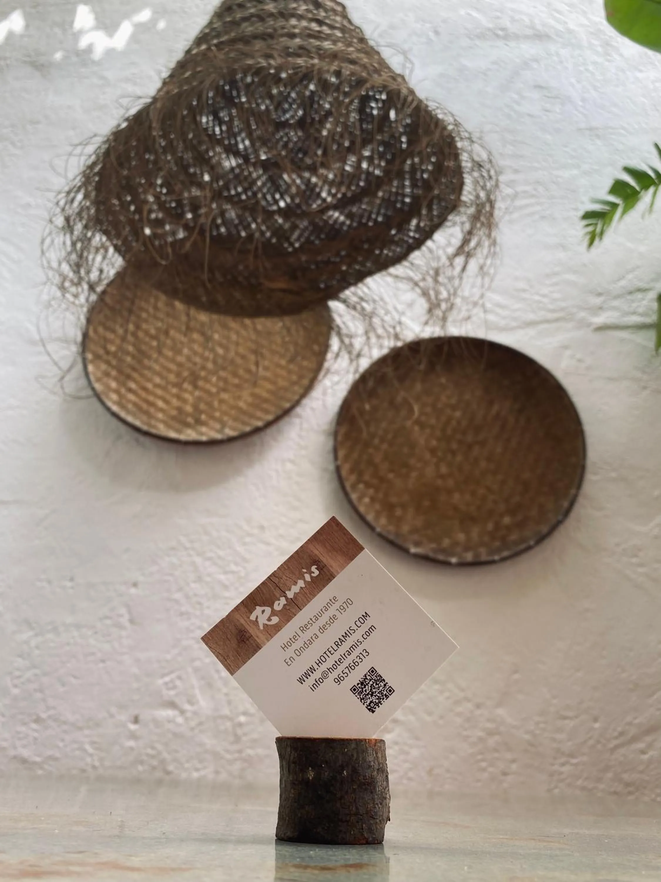 Balcony/Terrace in Hotel Ramis fundado en 1969