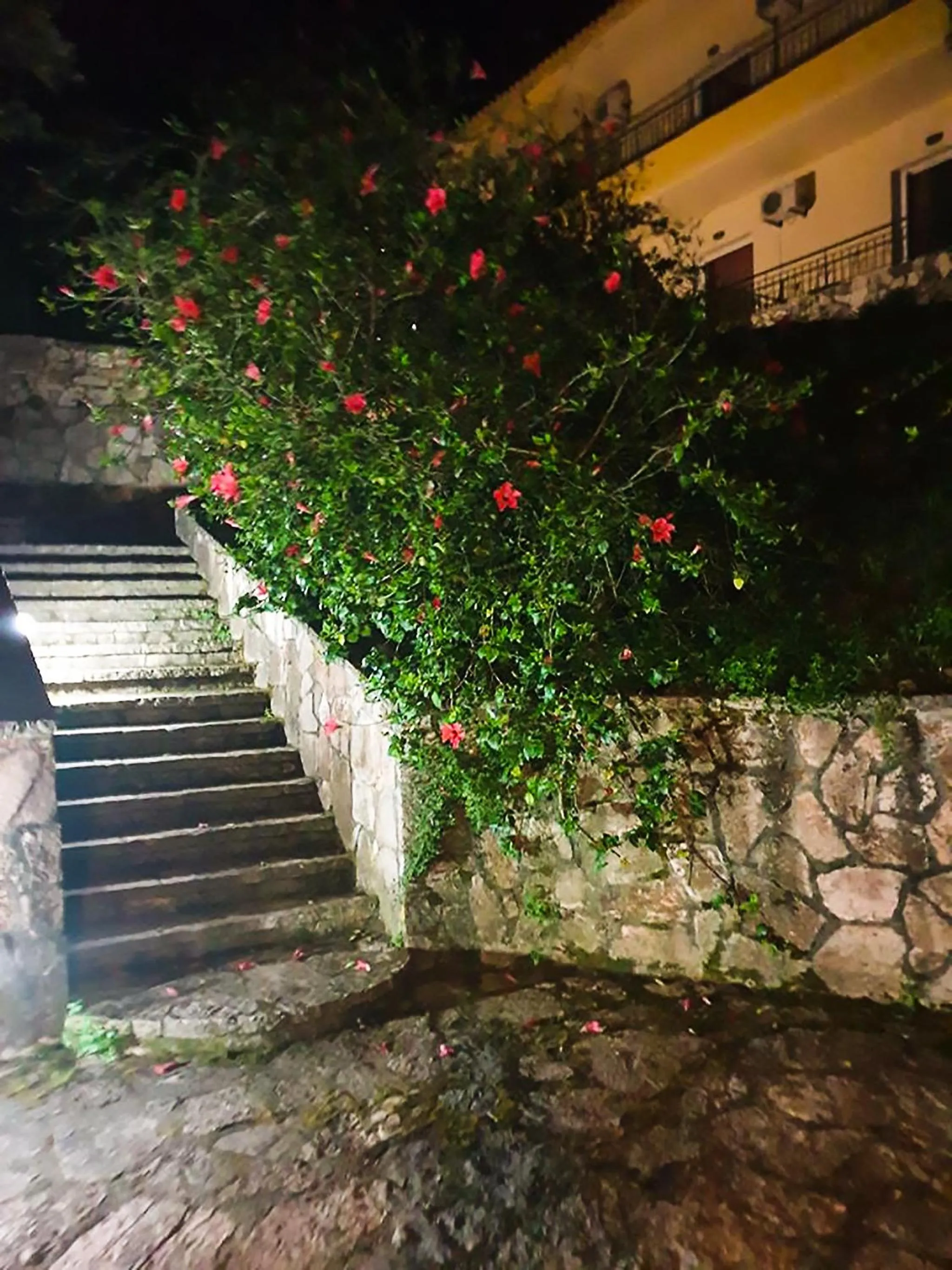 Facade/entrance in Amfitriti Hotel & Studios