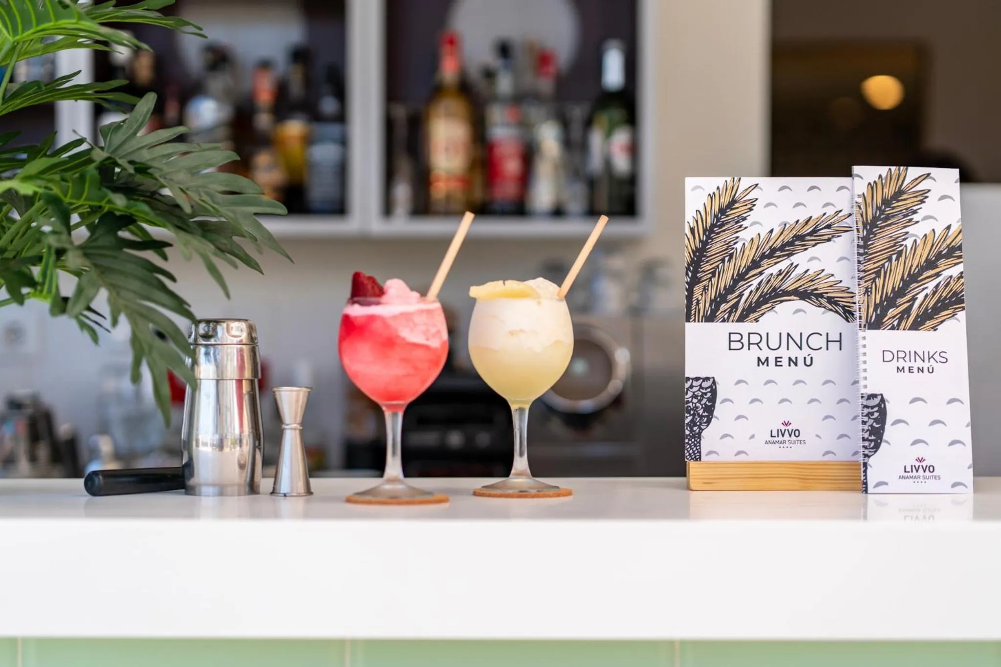 Hotel LIVVO Anamar Suites