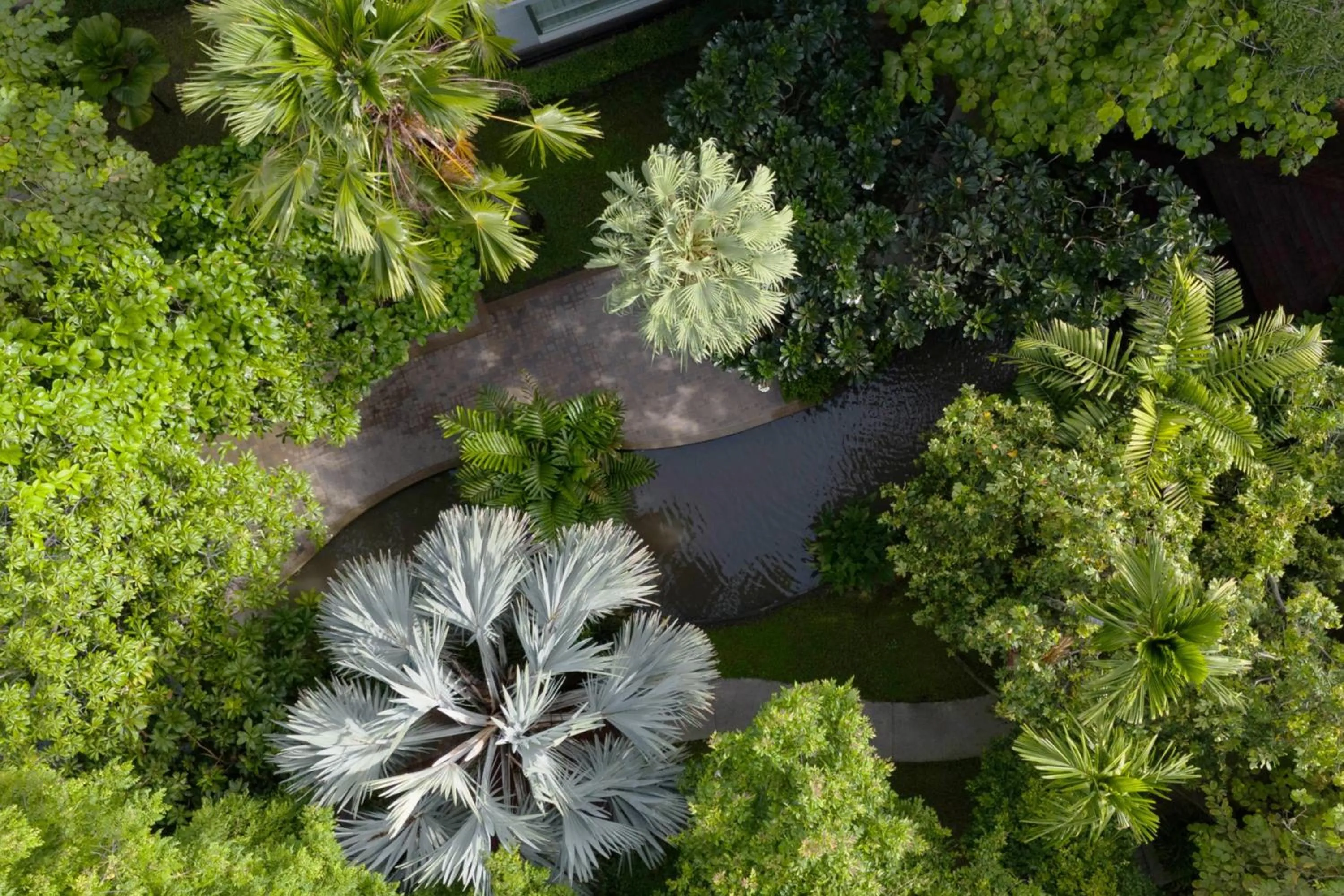 Garden view in The Park Nine Hotel Srinakarin