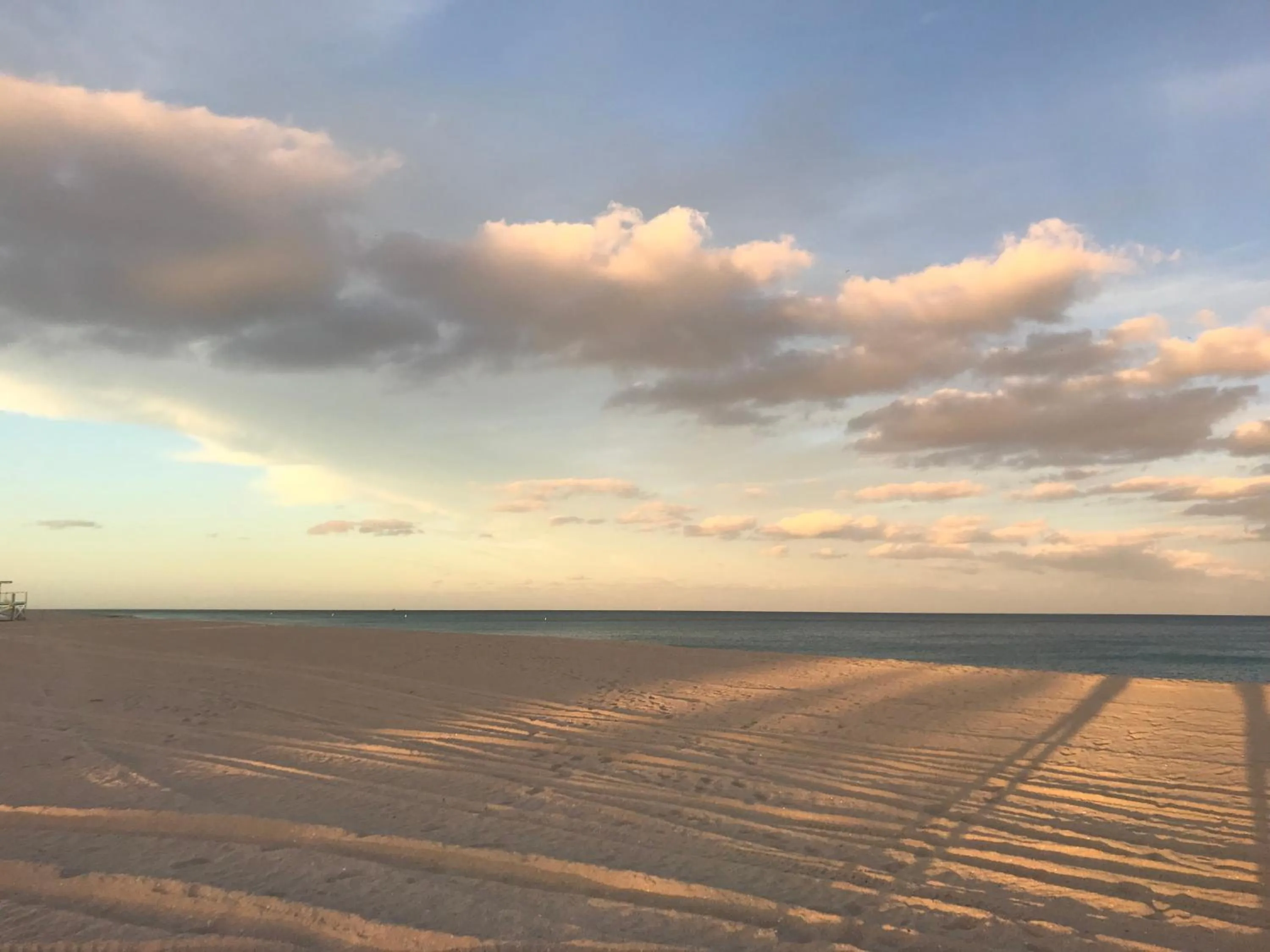 The King David Condos