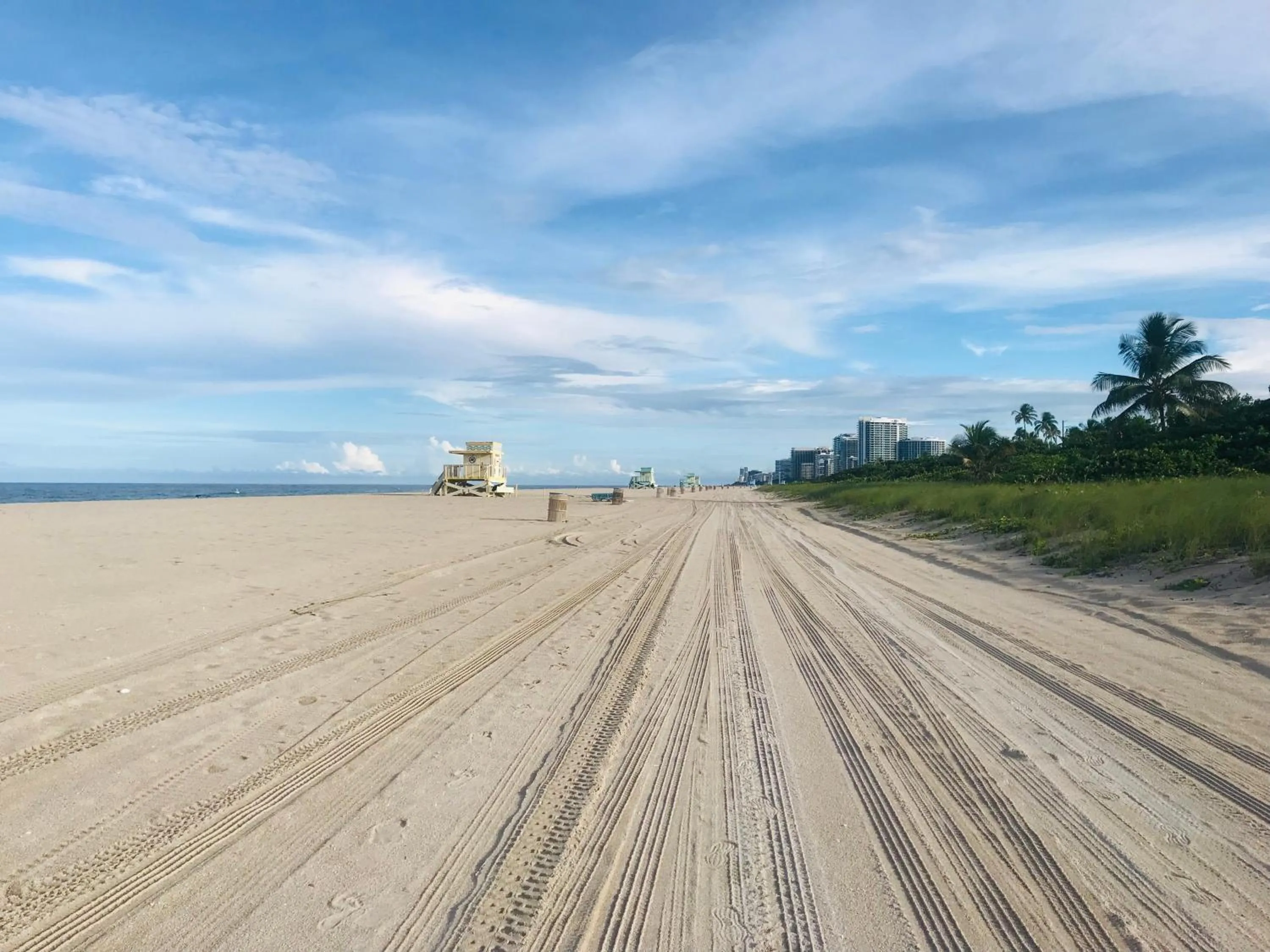 The King David Condos