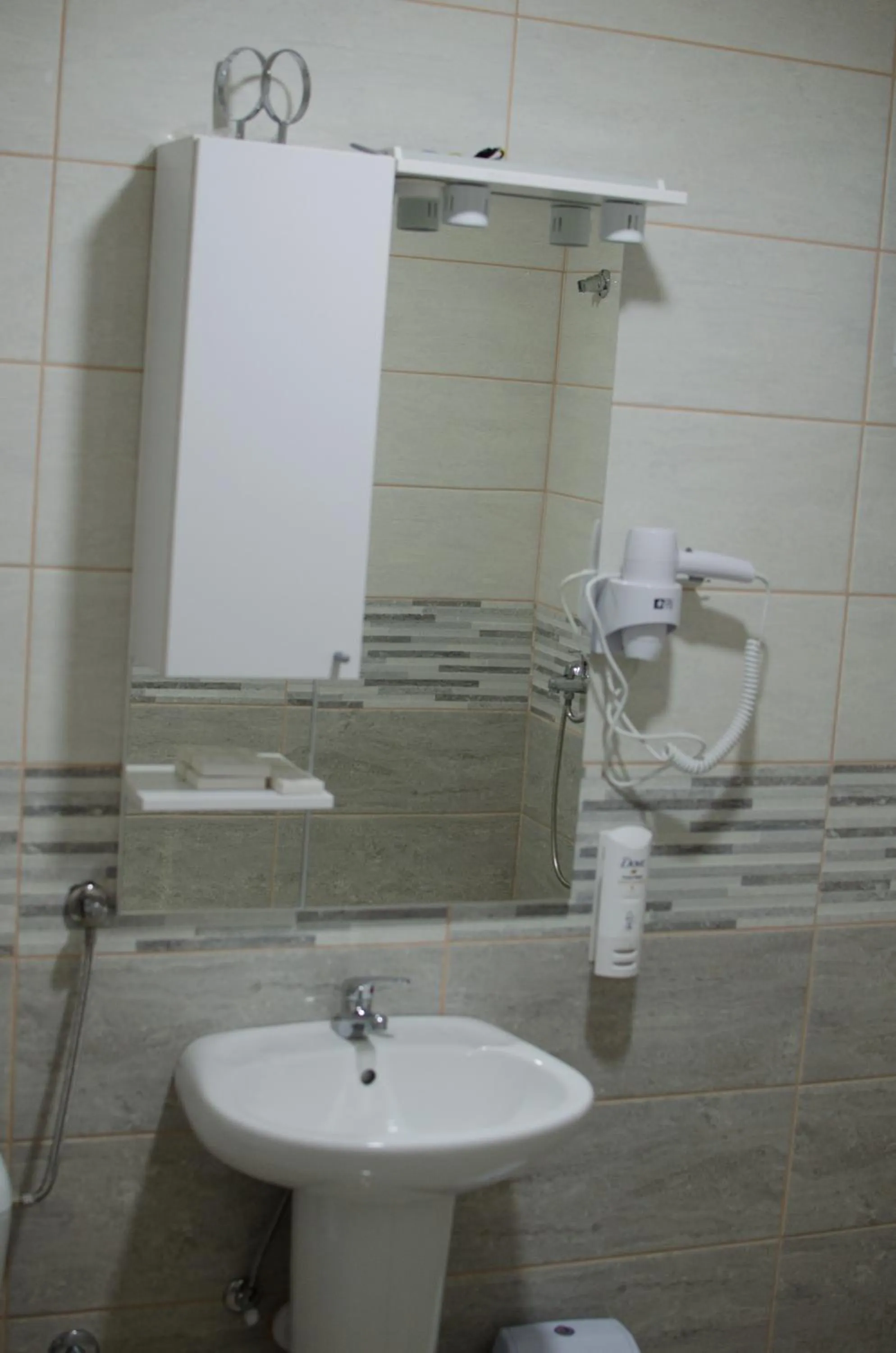 Bathroom in Hotel Metohija