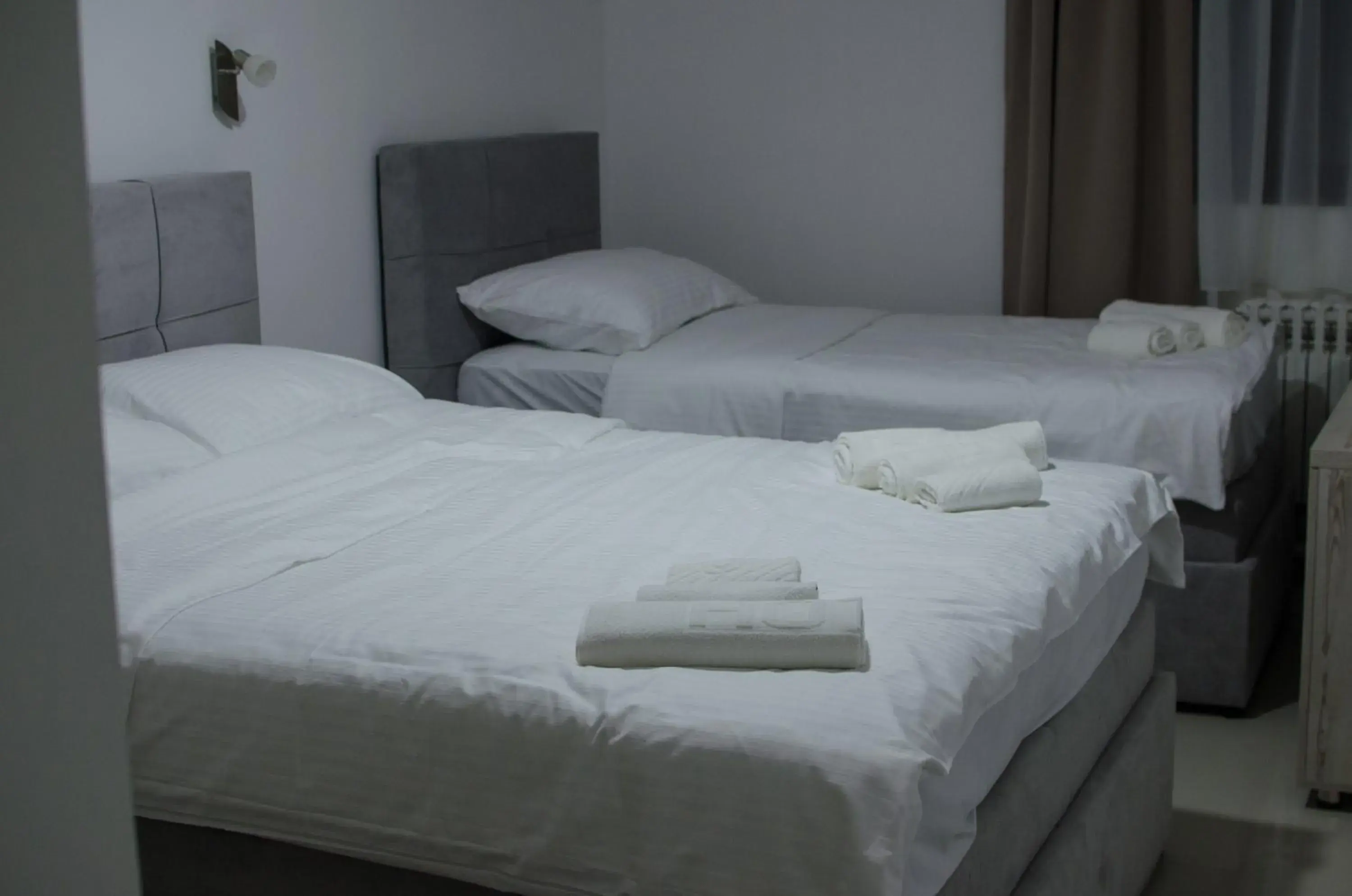 Triple Room in Hotel Metohija Triple Room in Hotel Metohija